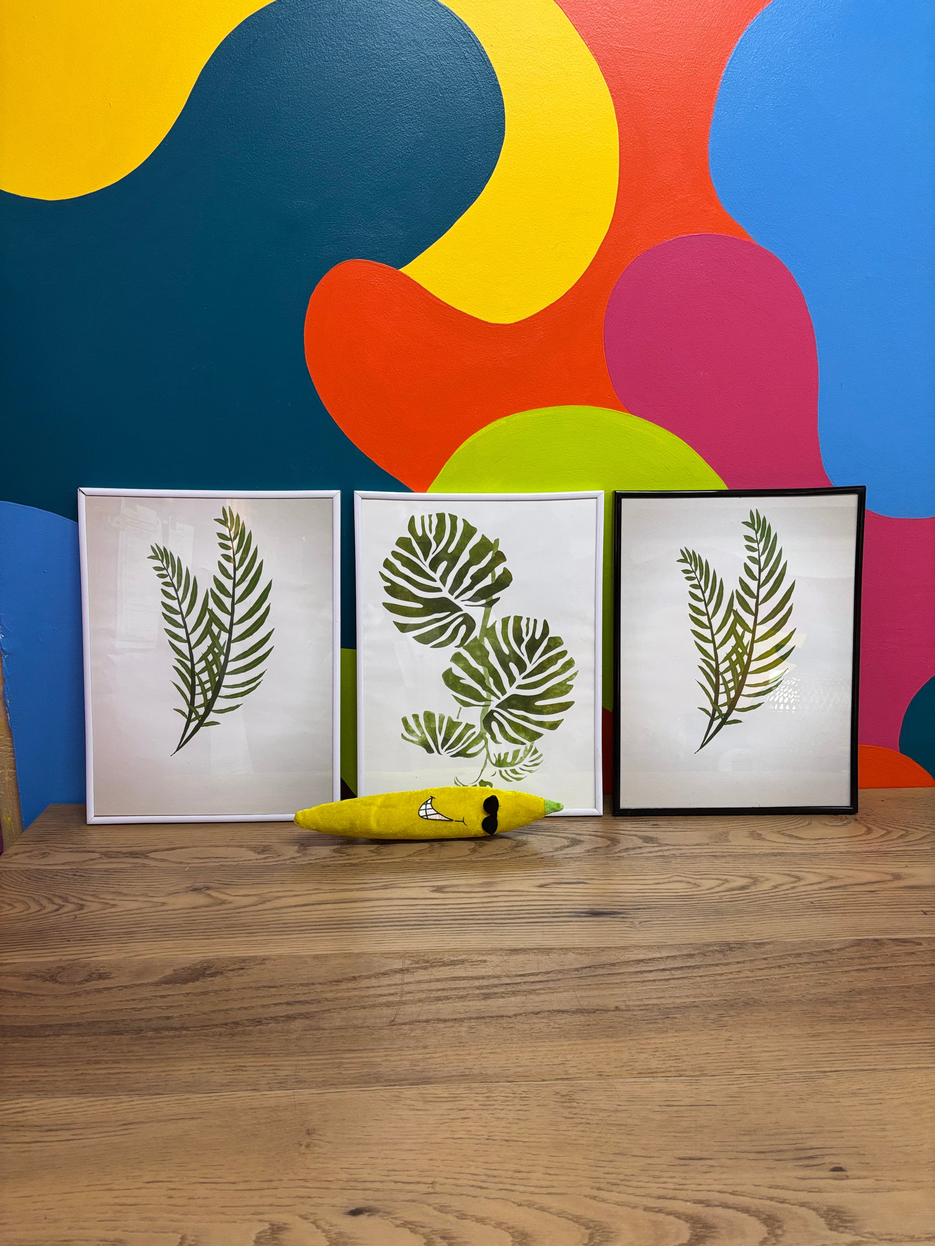 (3) Framed Plant Prints