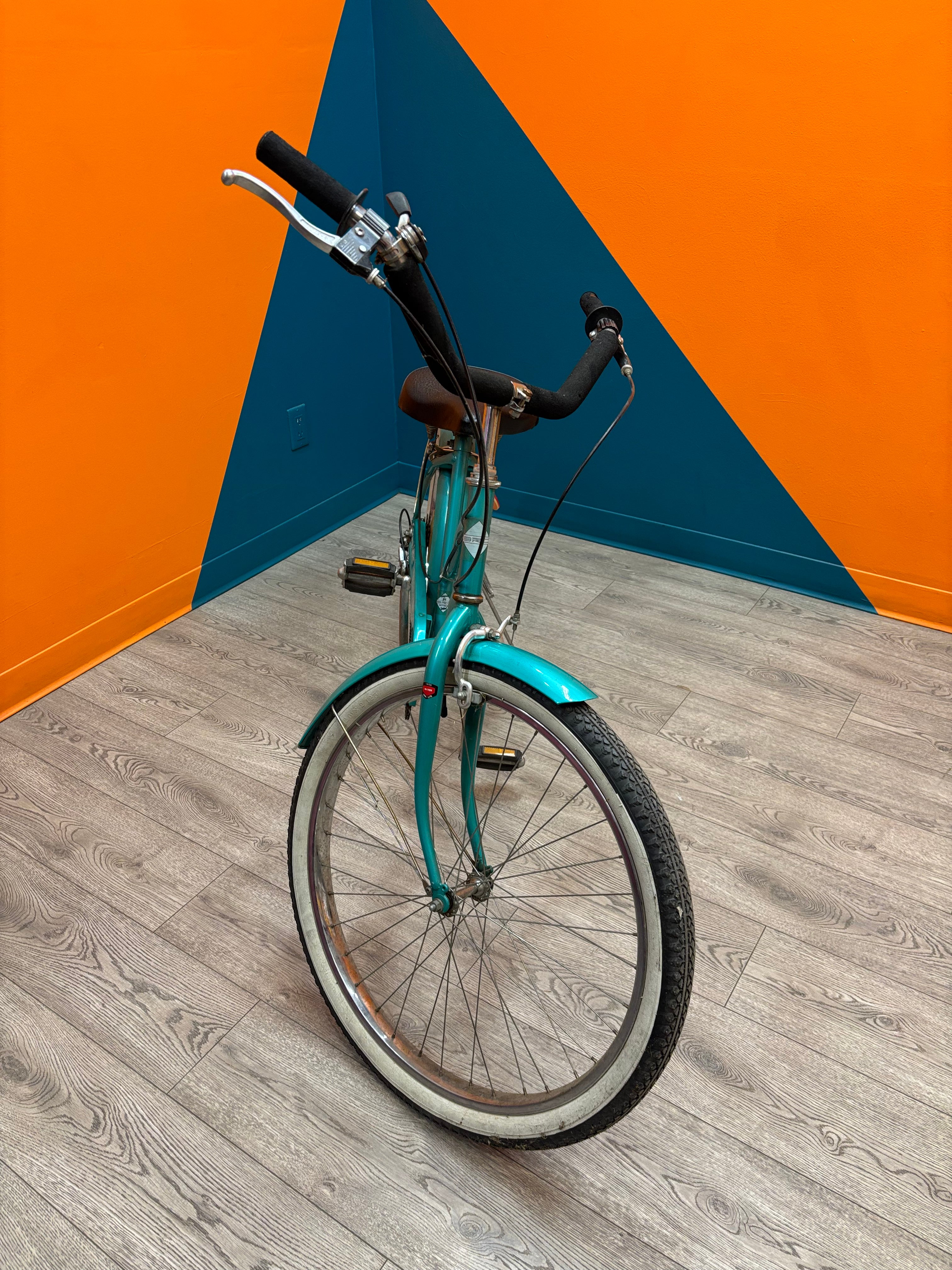 Turquoise Cruiser Collection Pro Bicycle