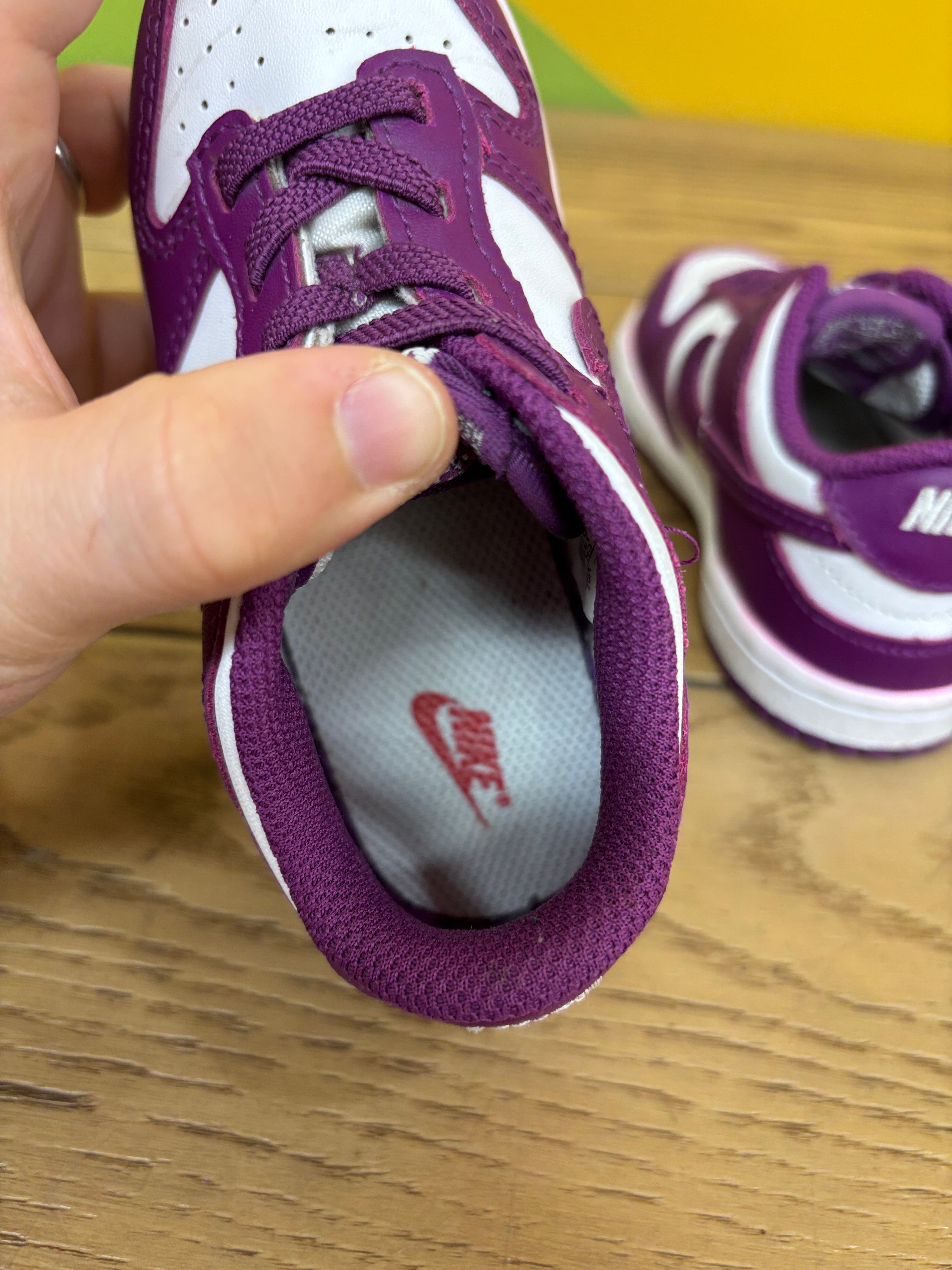 Toddler Nike Low Dunk Shoes - Size 8C