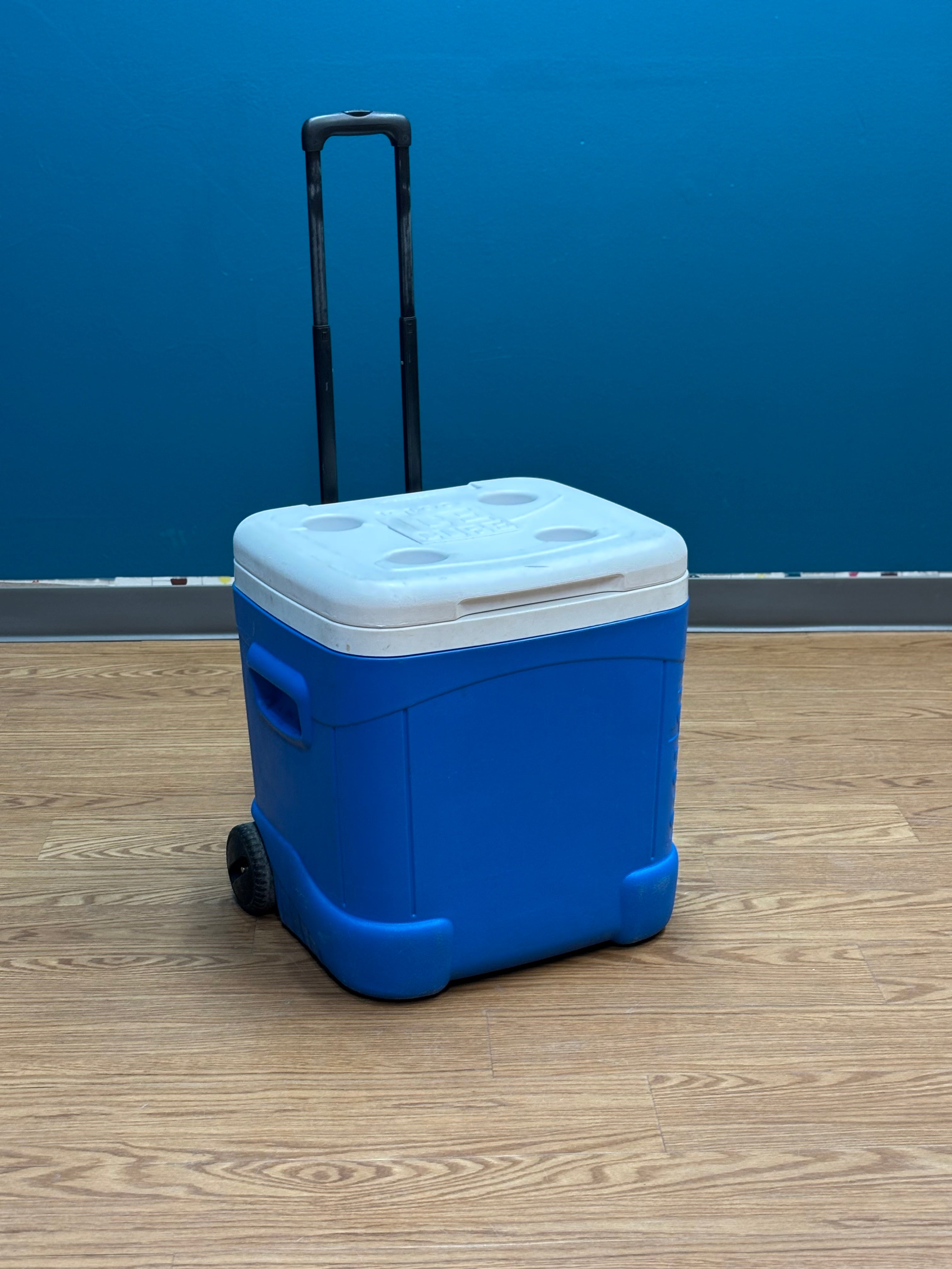Igloo Ice Cube Roller Cooler