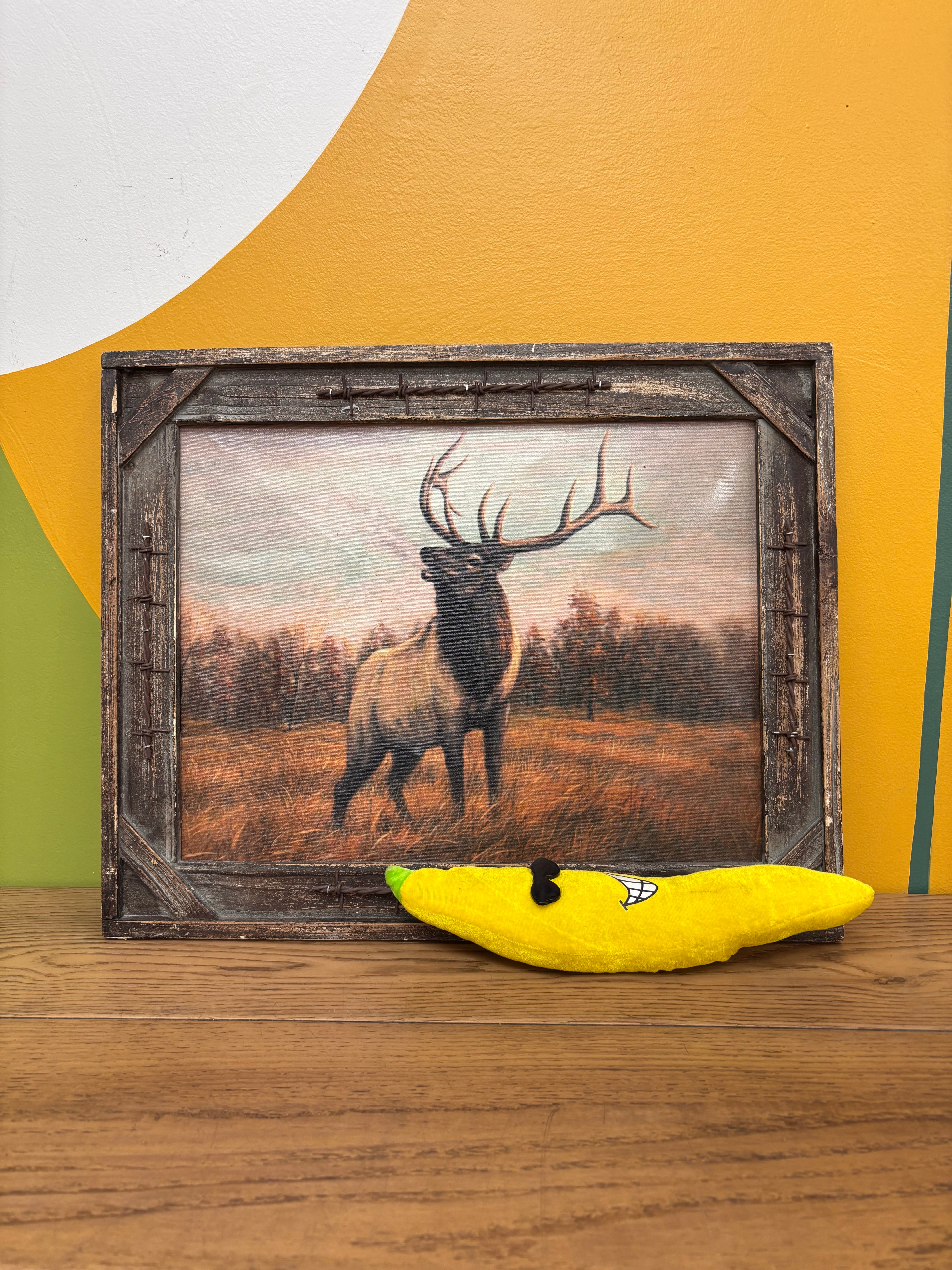 Framed Wildlife Art