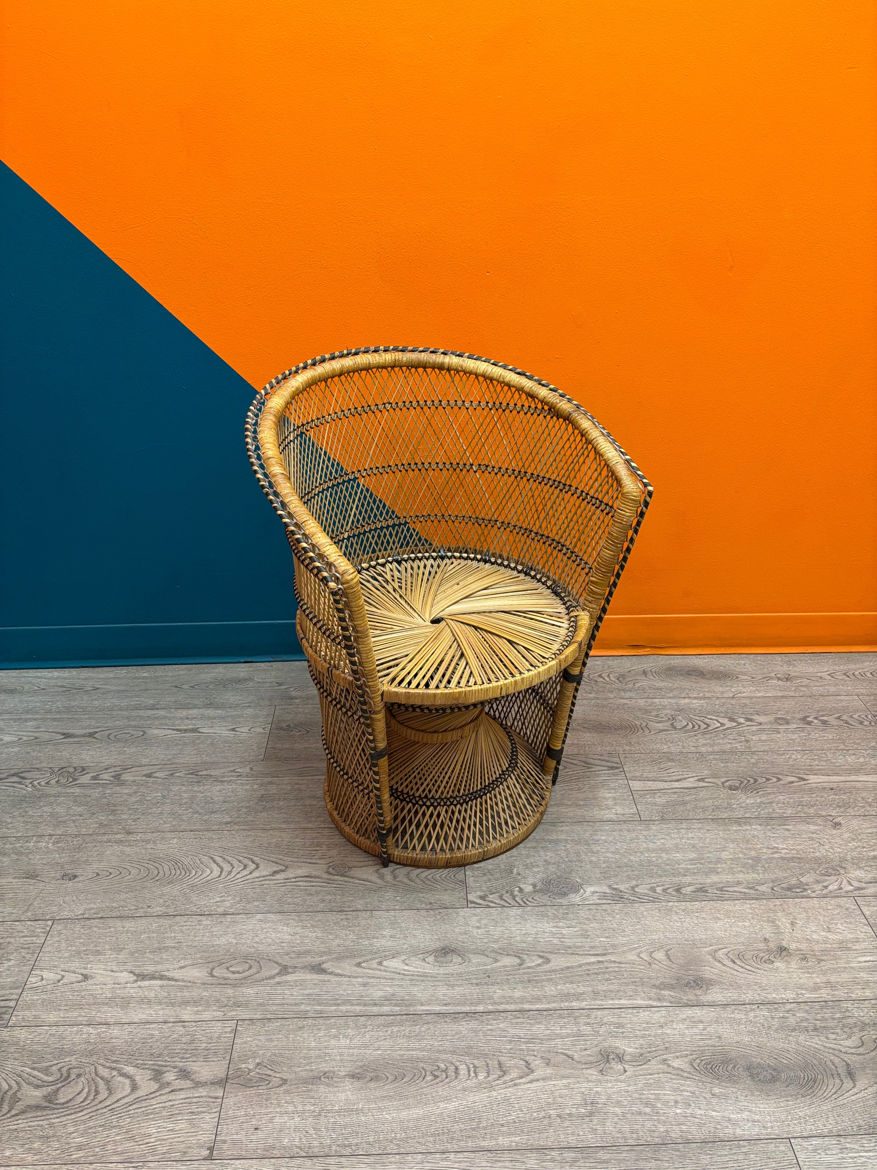 Peacock Chair