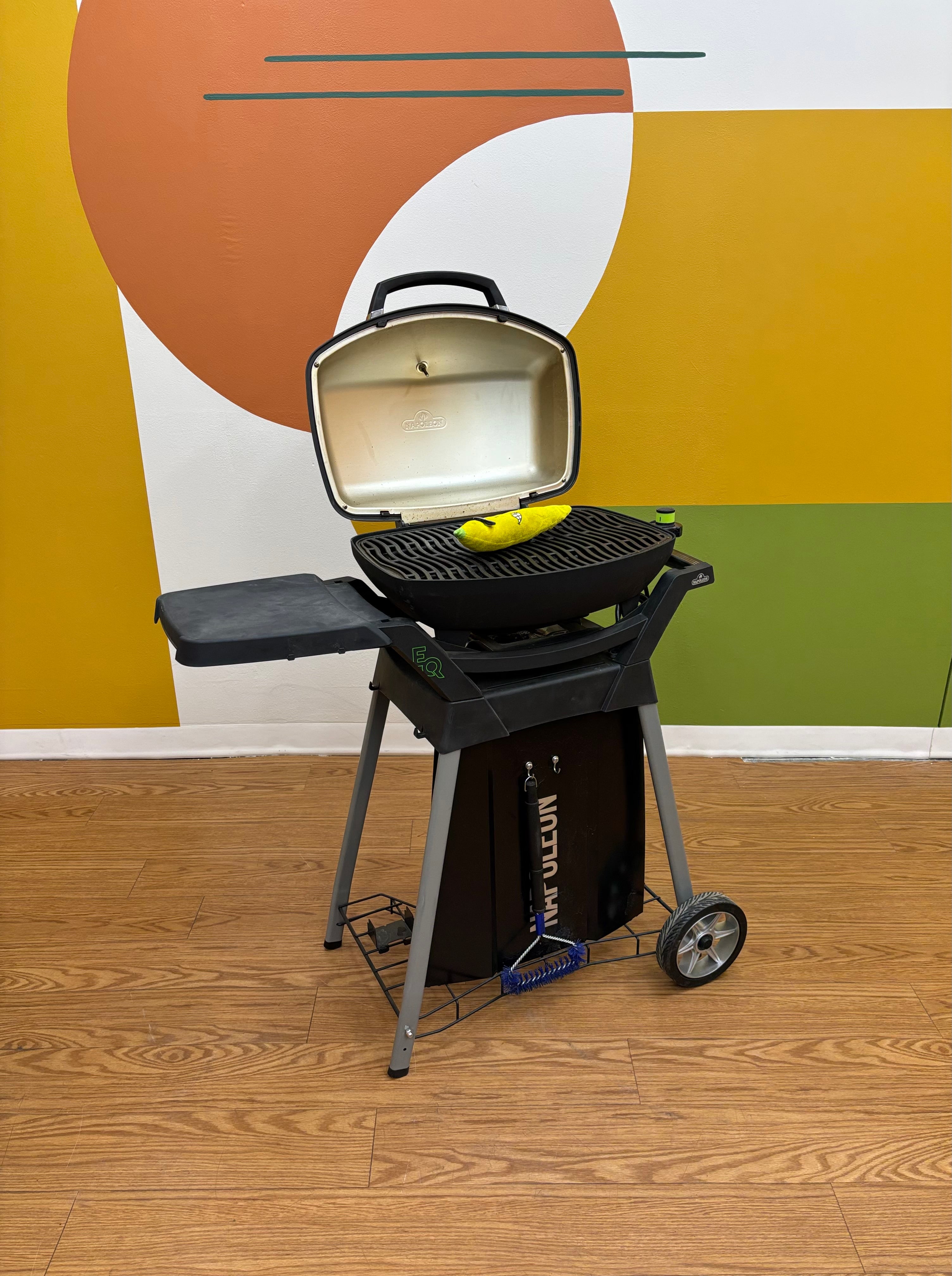 Napoleon Travel Q Portable Propane Gas Grill with Cover