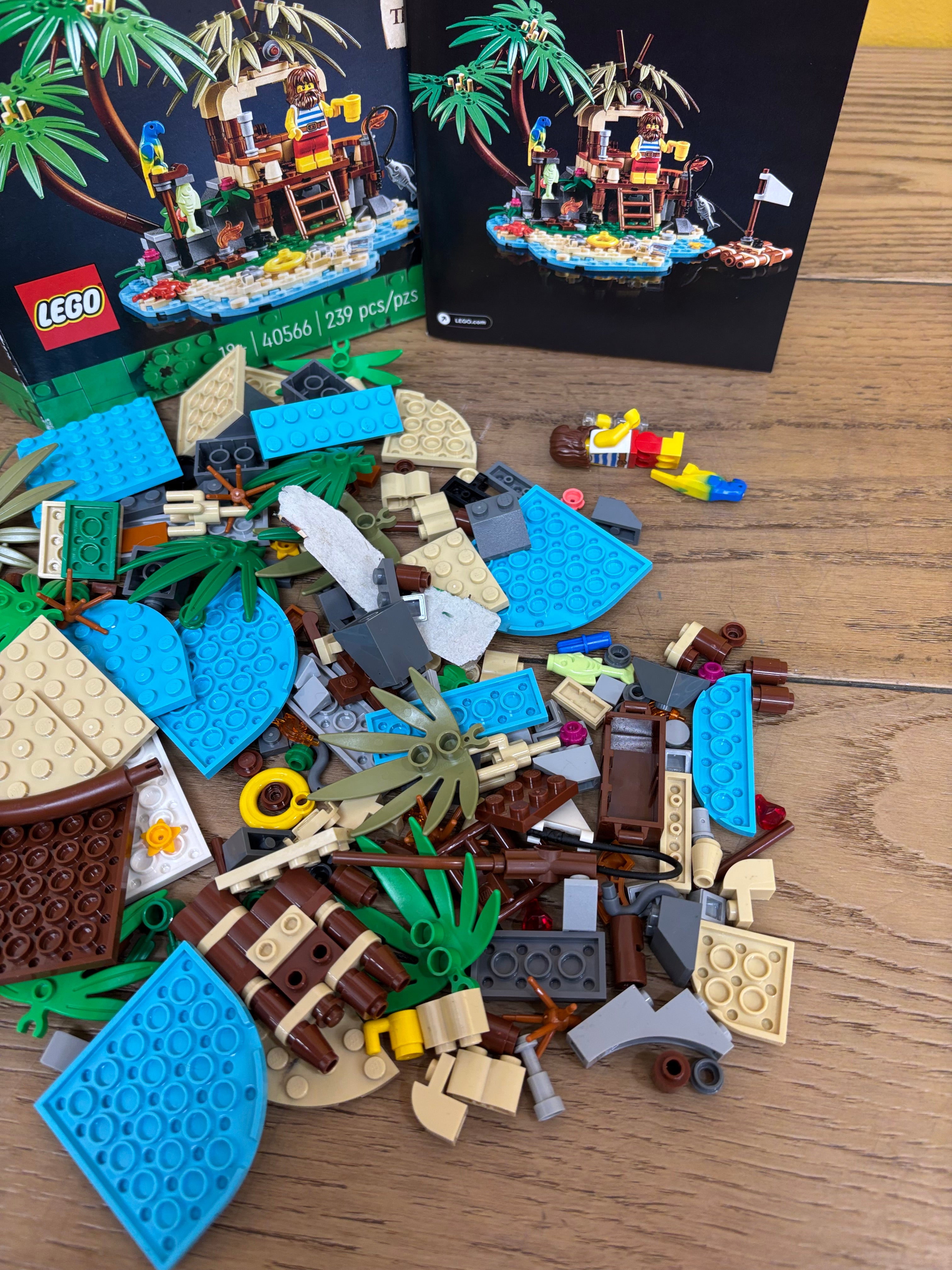 Lego: Ray The Castaway Set #40566