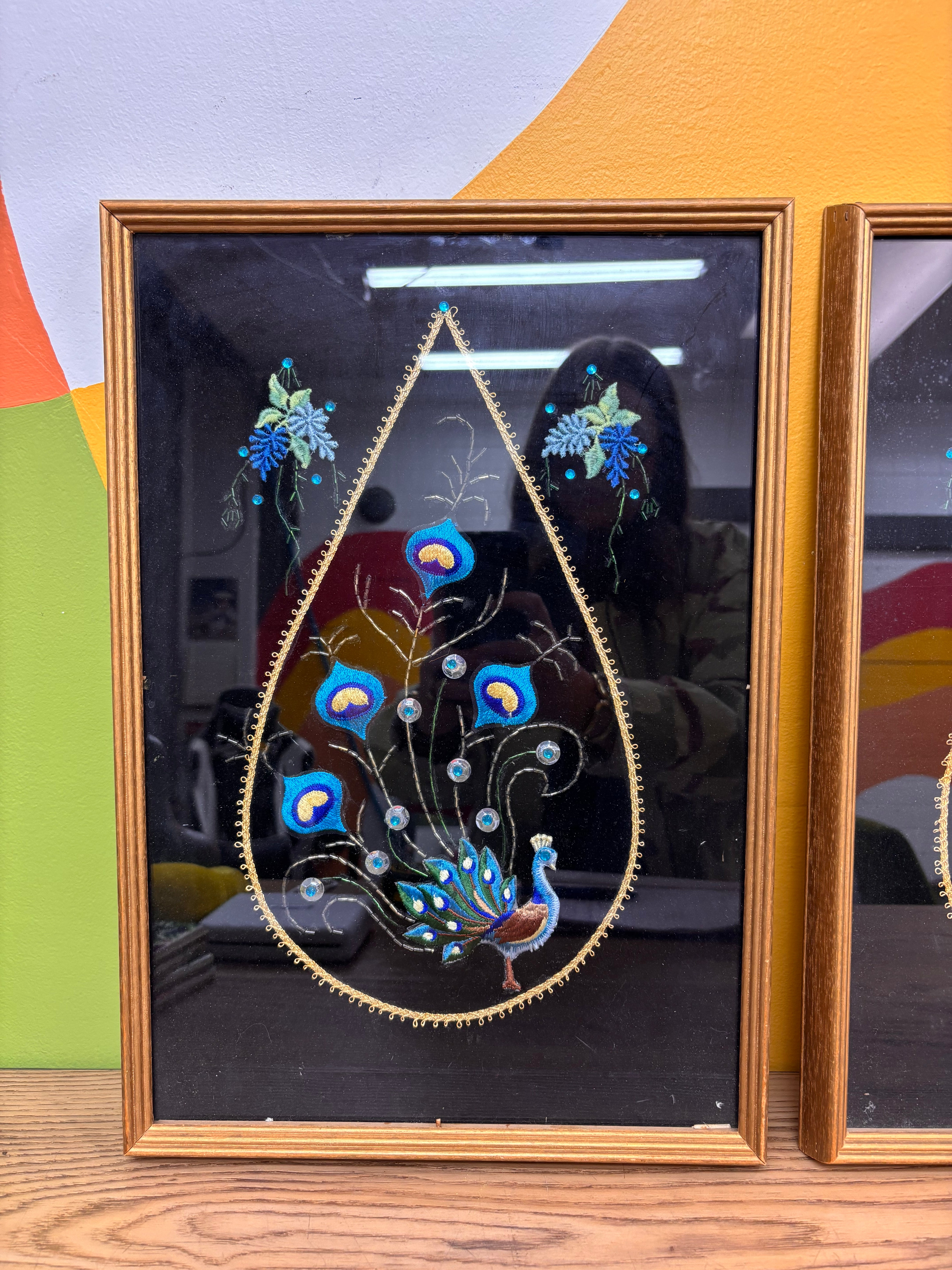 Set of 2 Peacock Velvet Framed Art