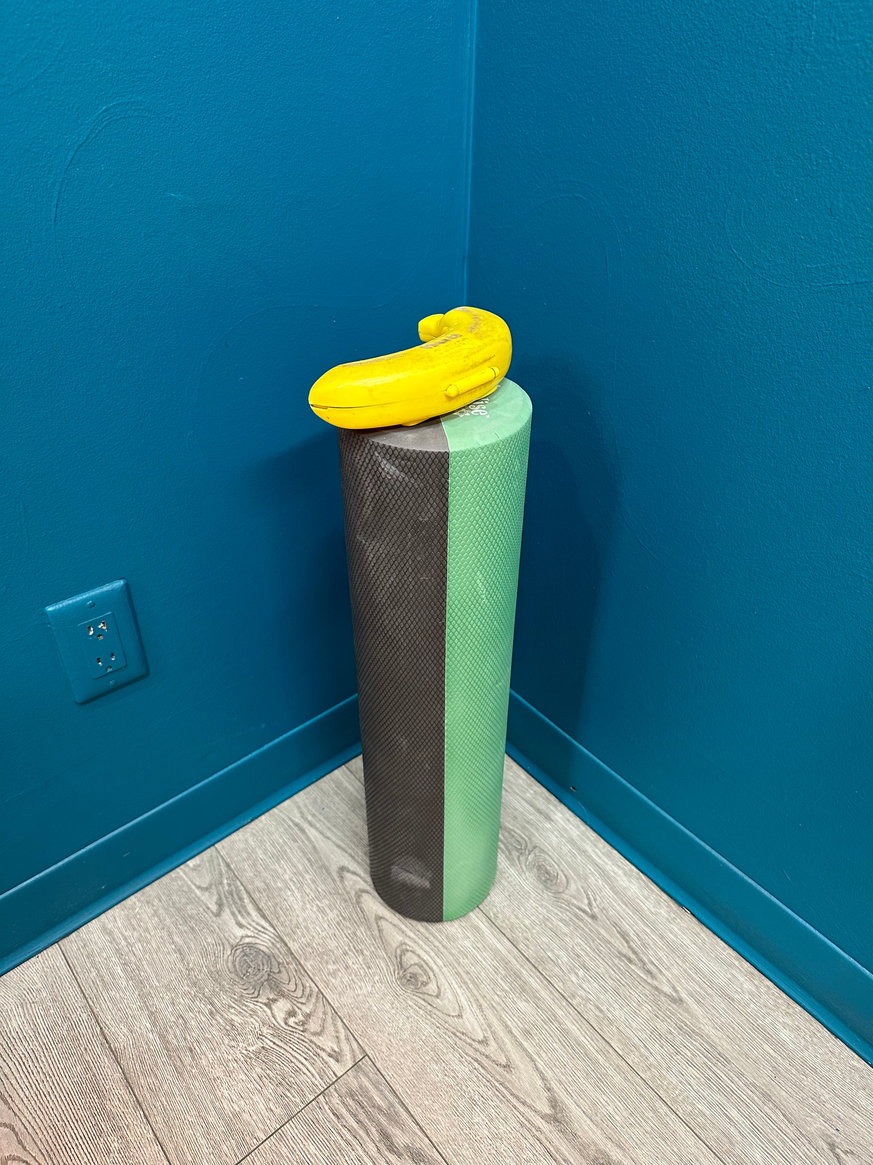 Ecowise Foam Roller