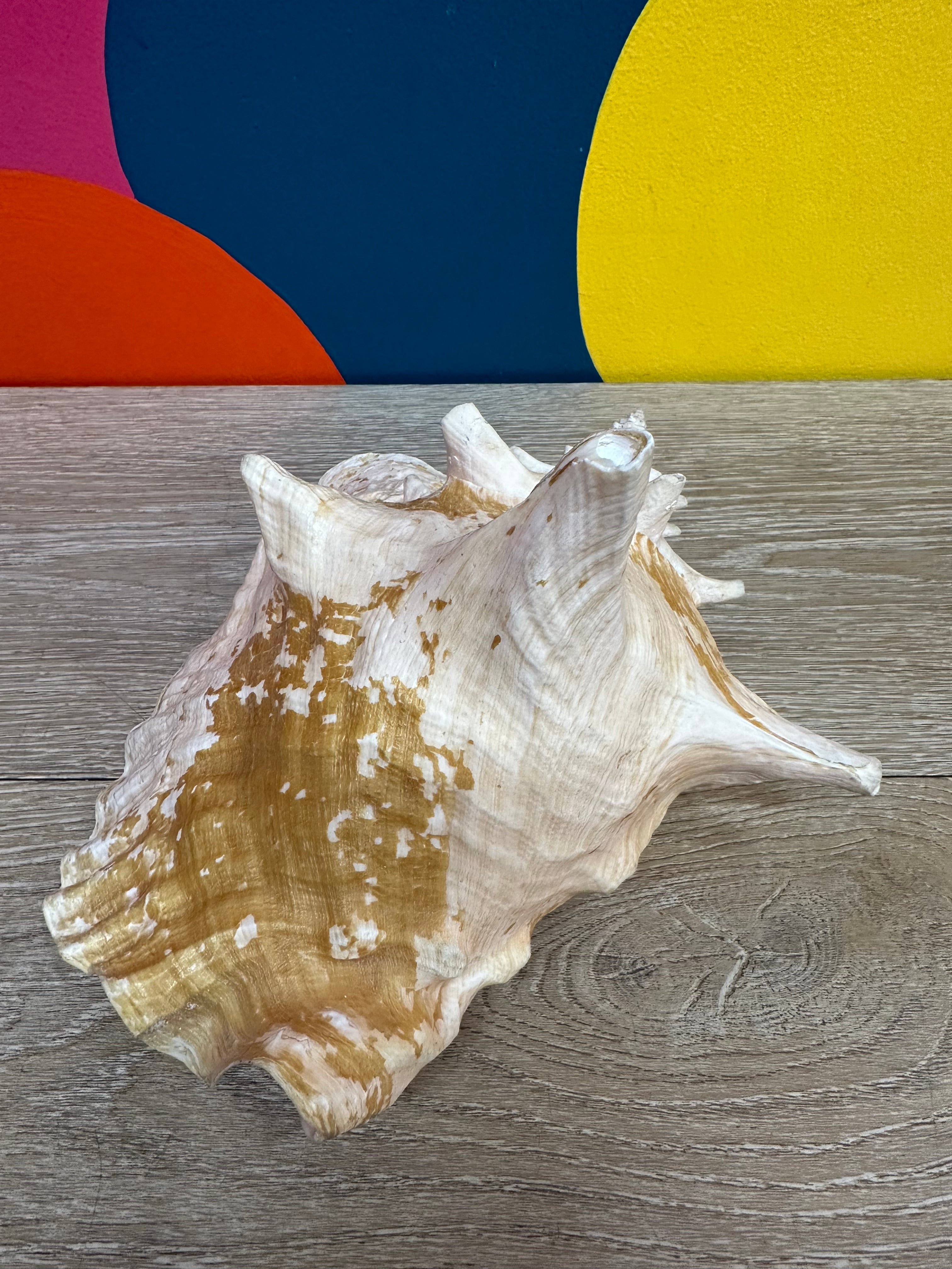 Giant Shell