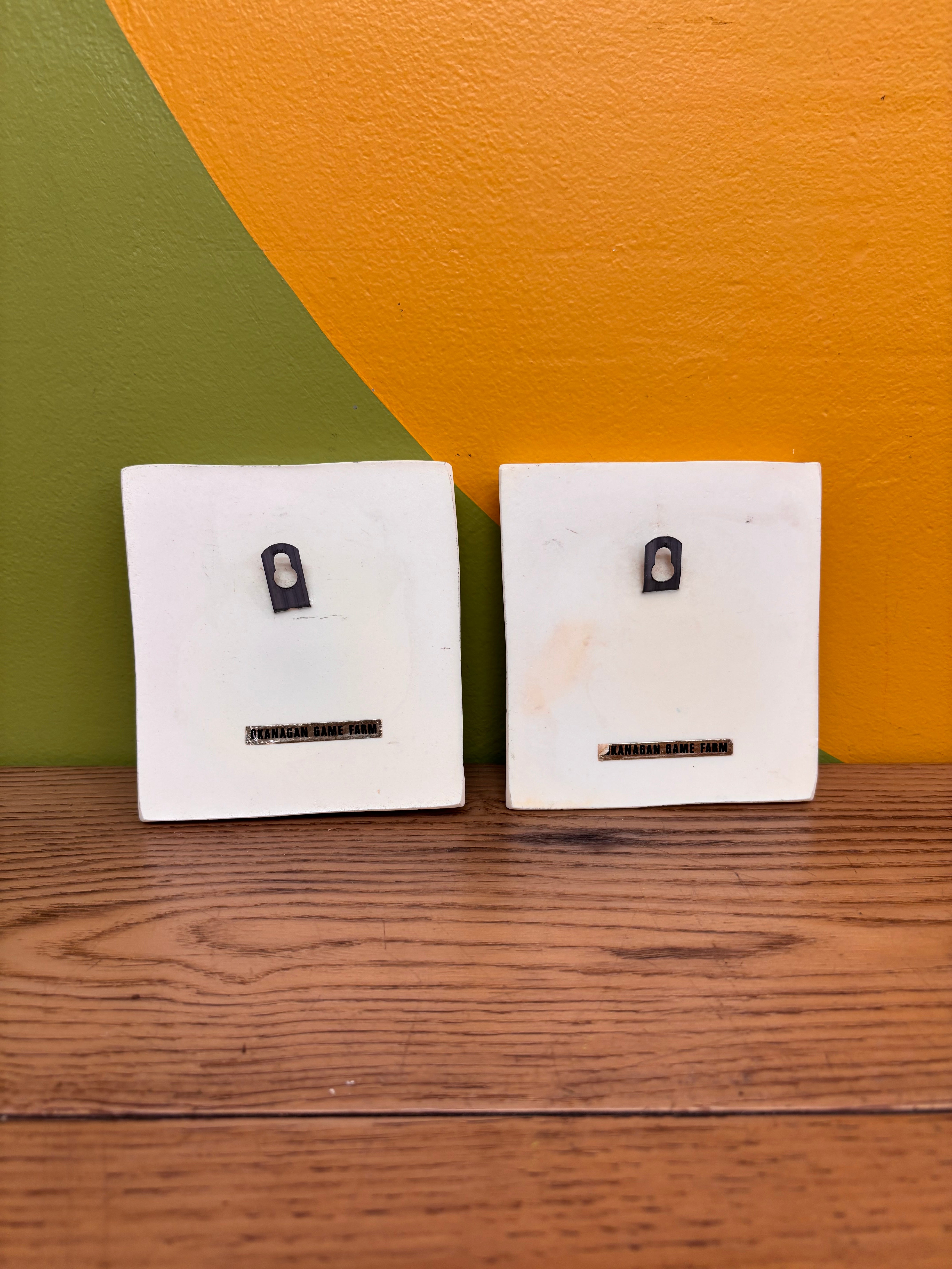 Set of 2 Owl Plaques