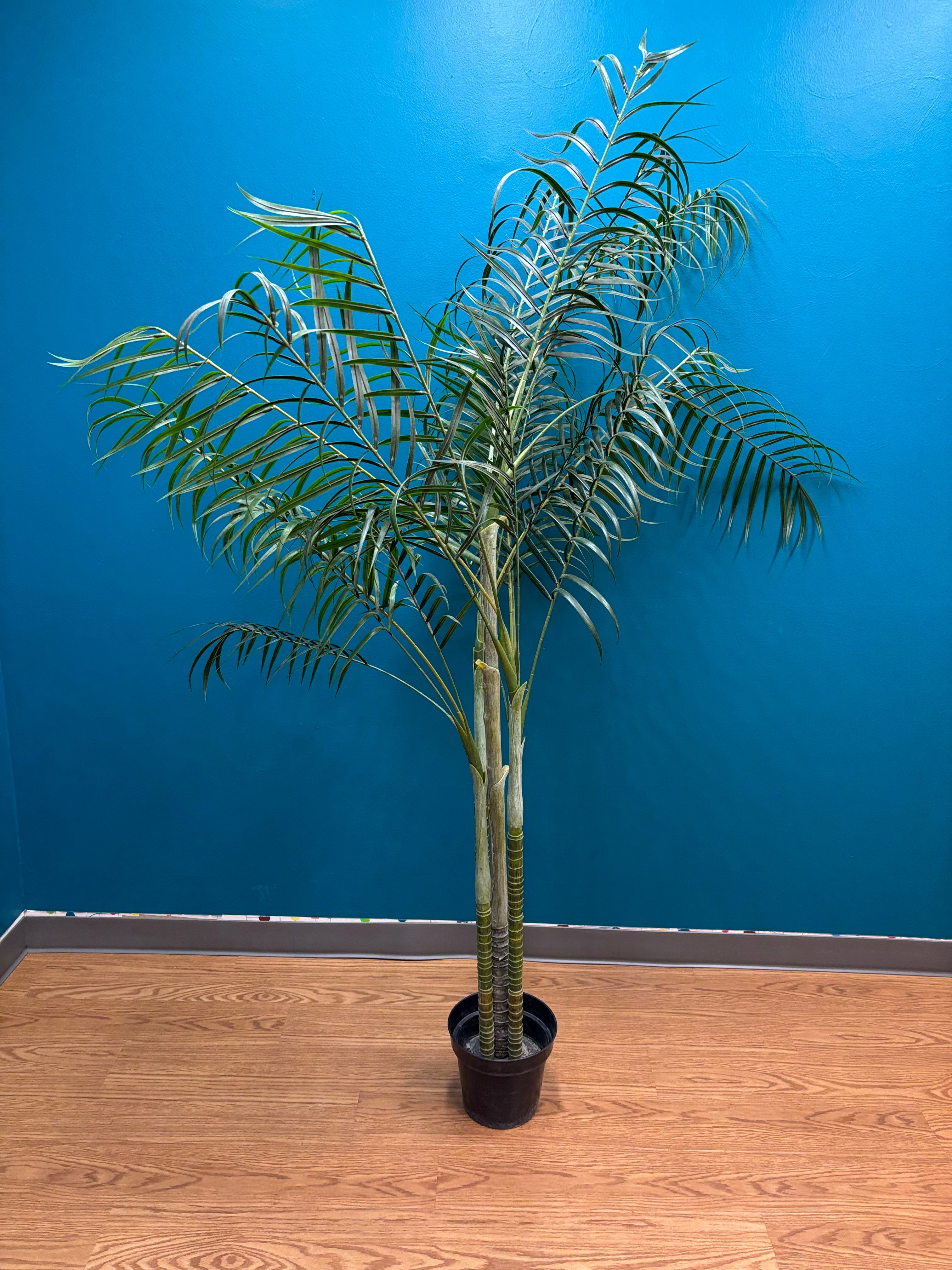 Artificial Tree (2 available)