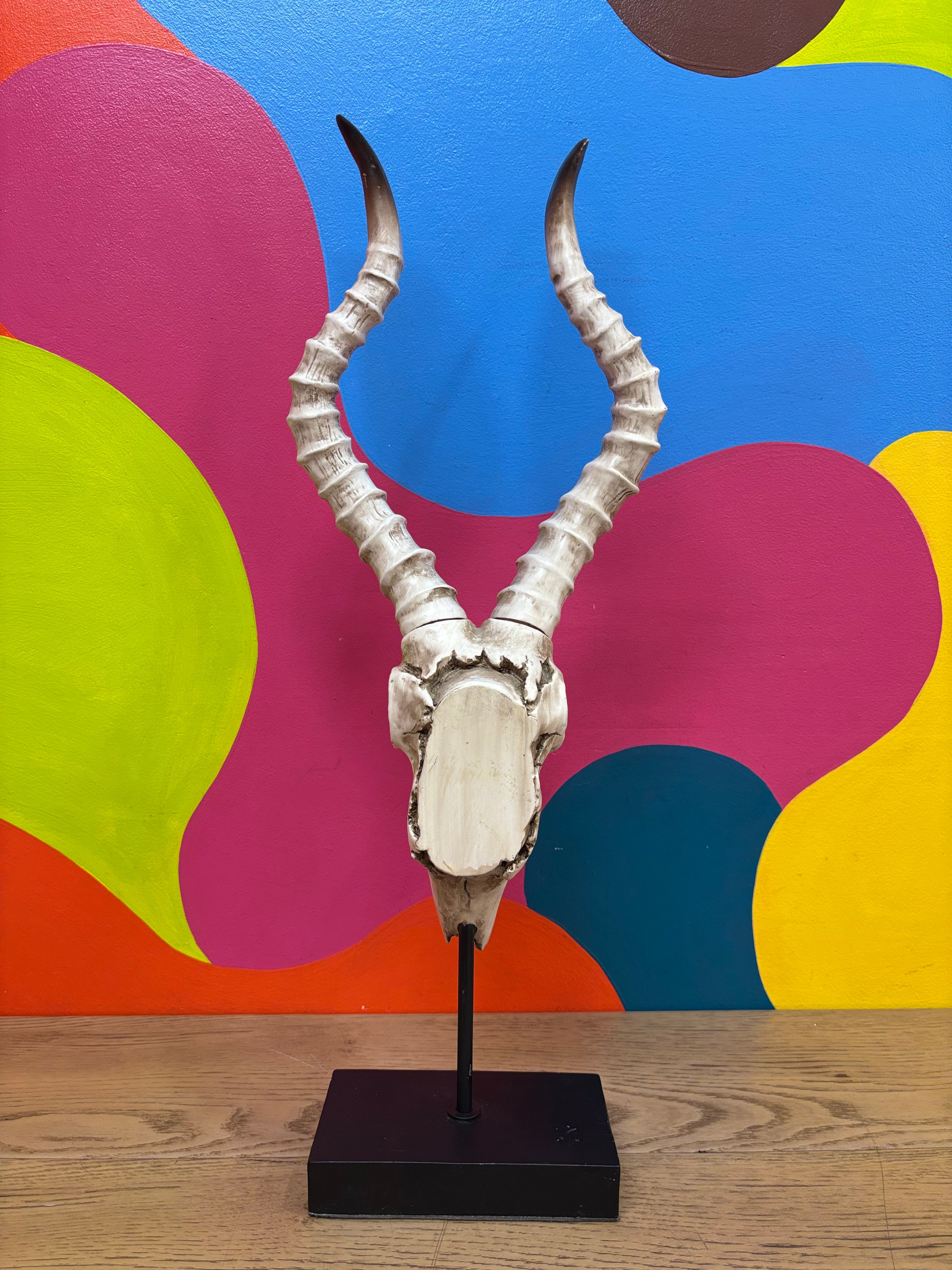 Long Horn Skull Decor