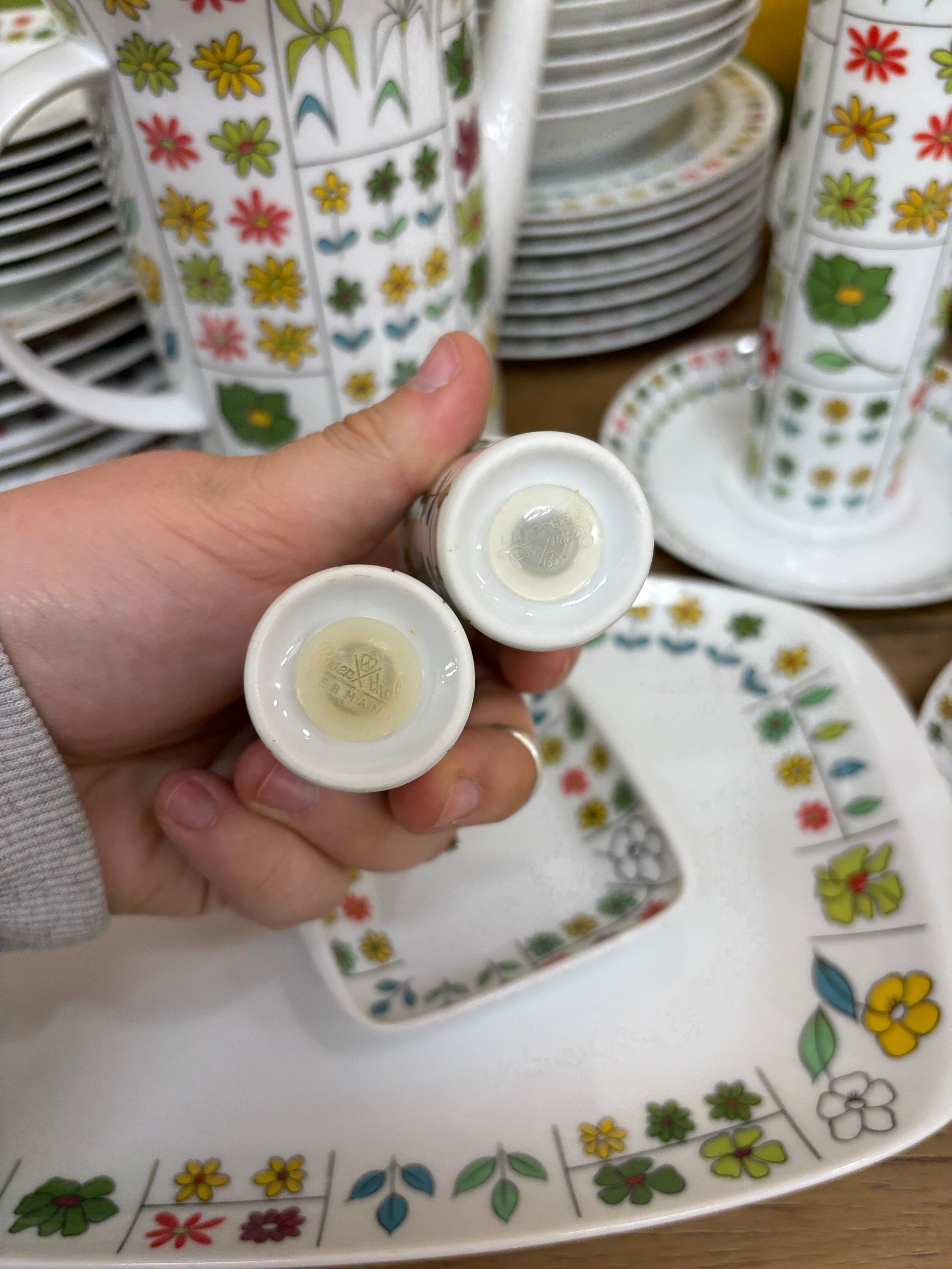Large Piemonte Floral Set by Rosenthal