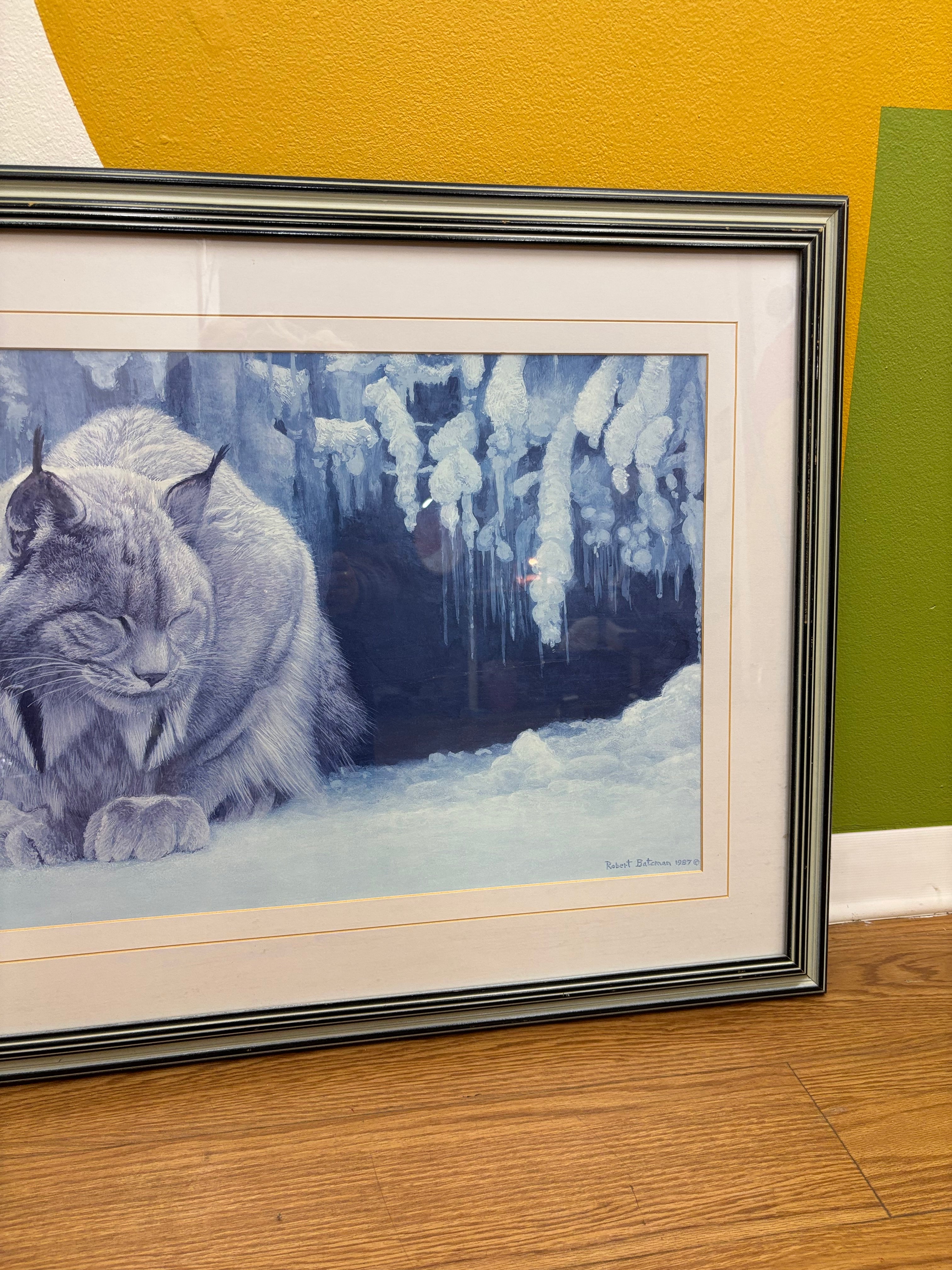 Dozing Lynx by Robert Bateman