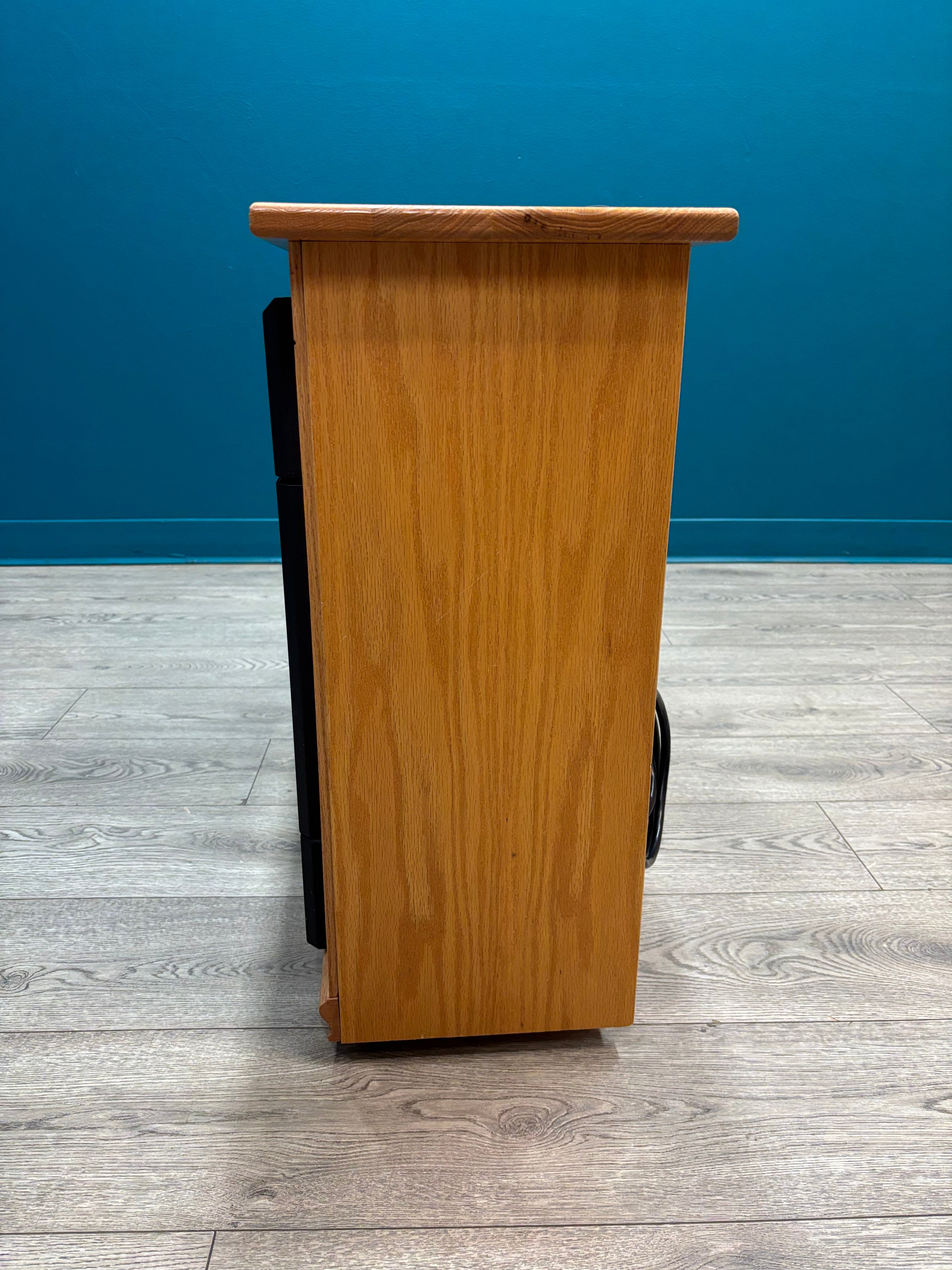 Rolling Electric Fireplace (Heat Surge)