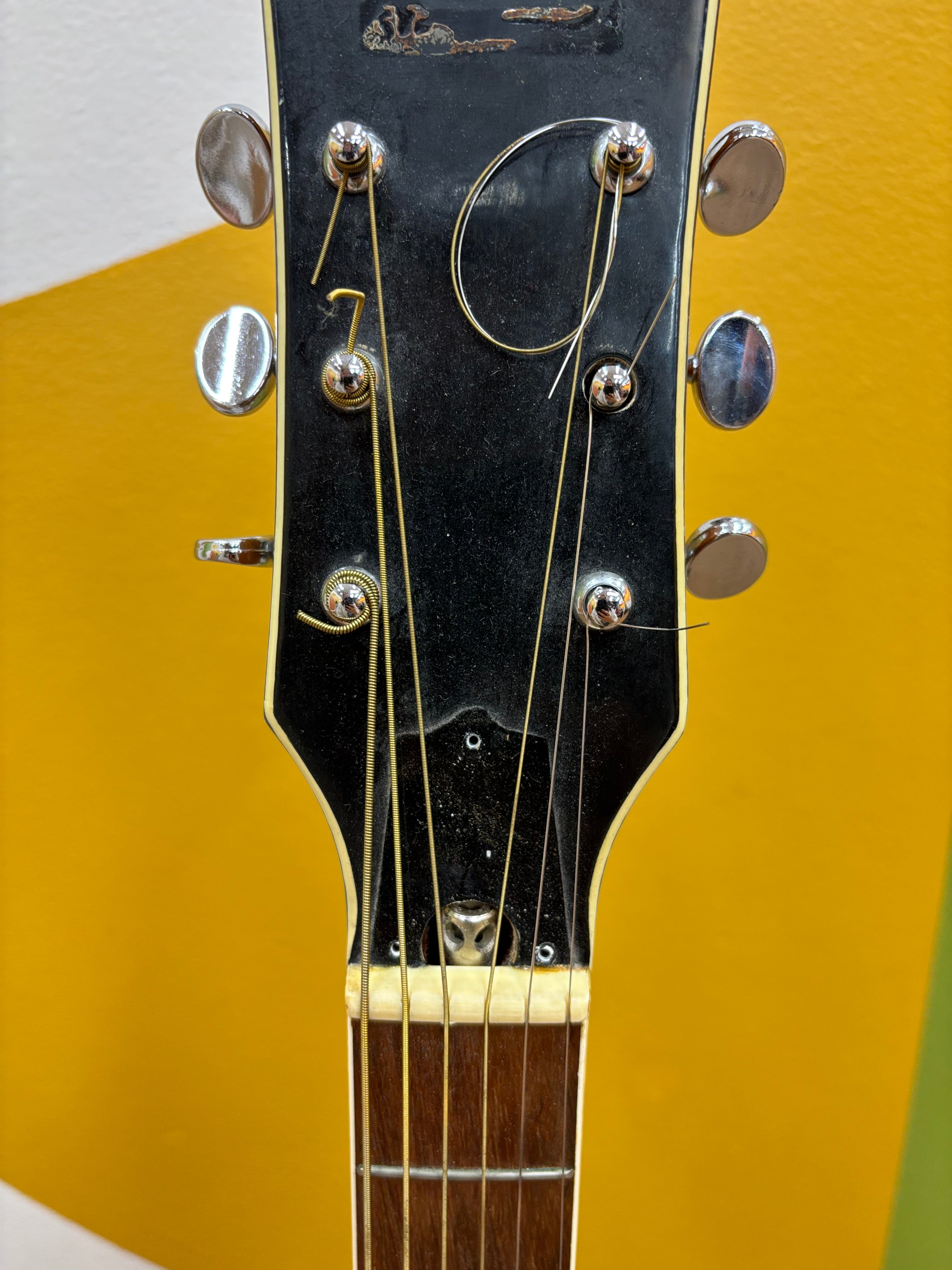 Pyramid Acoustic Guitar (Model - F742)