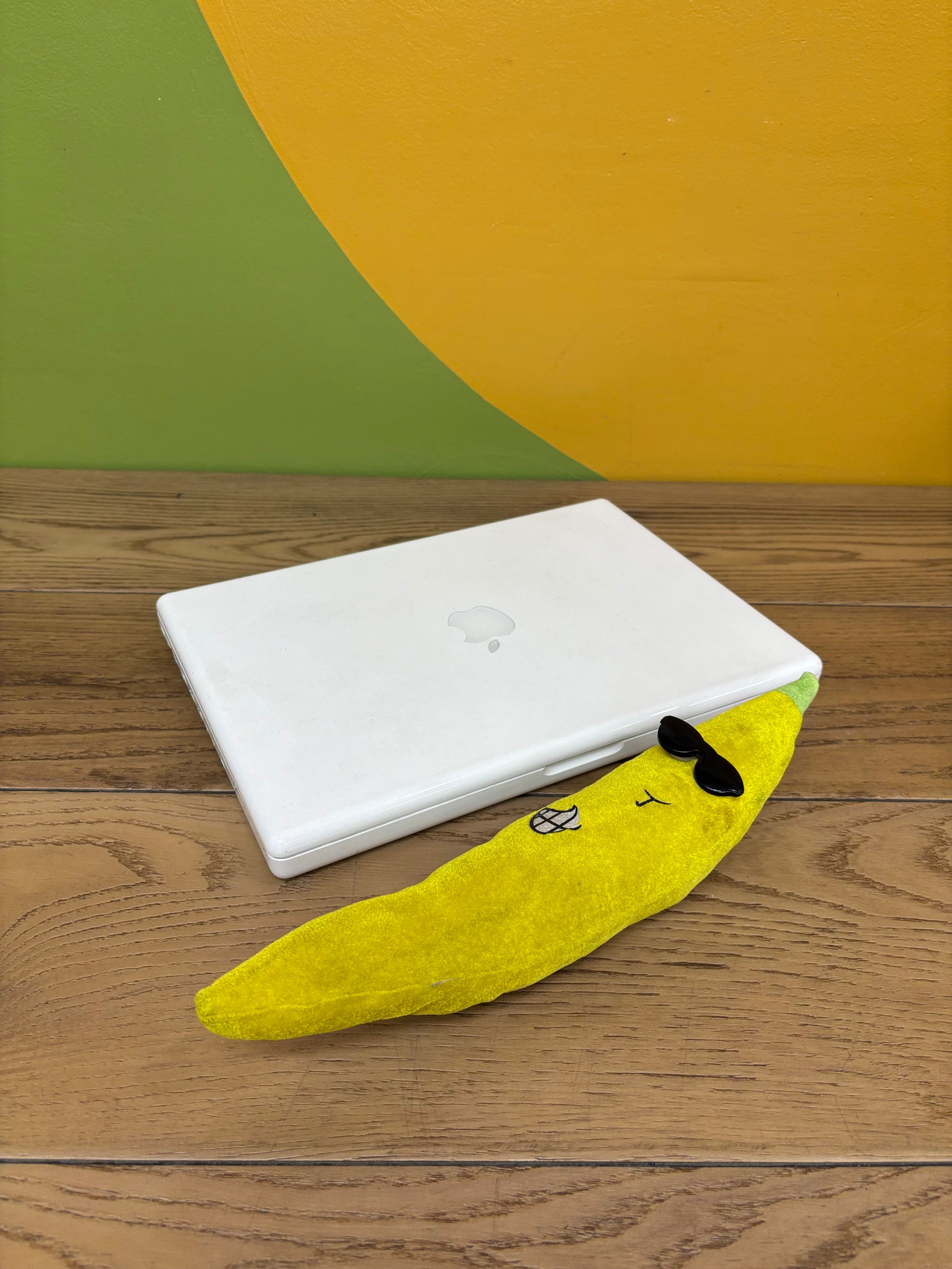 White MacBook Laptop (2007)