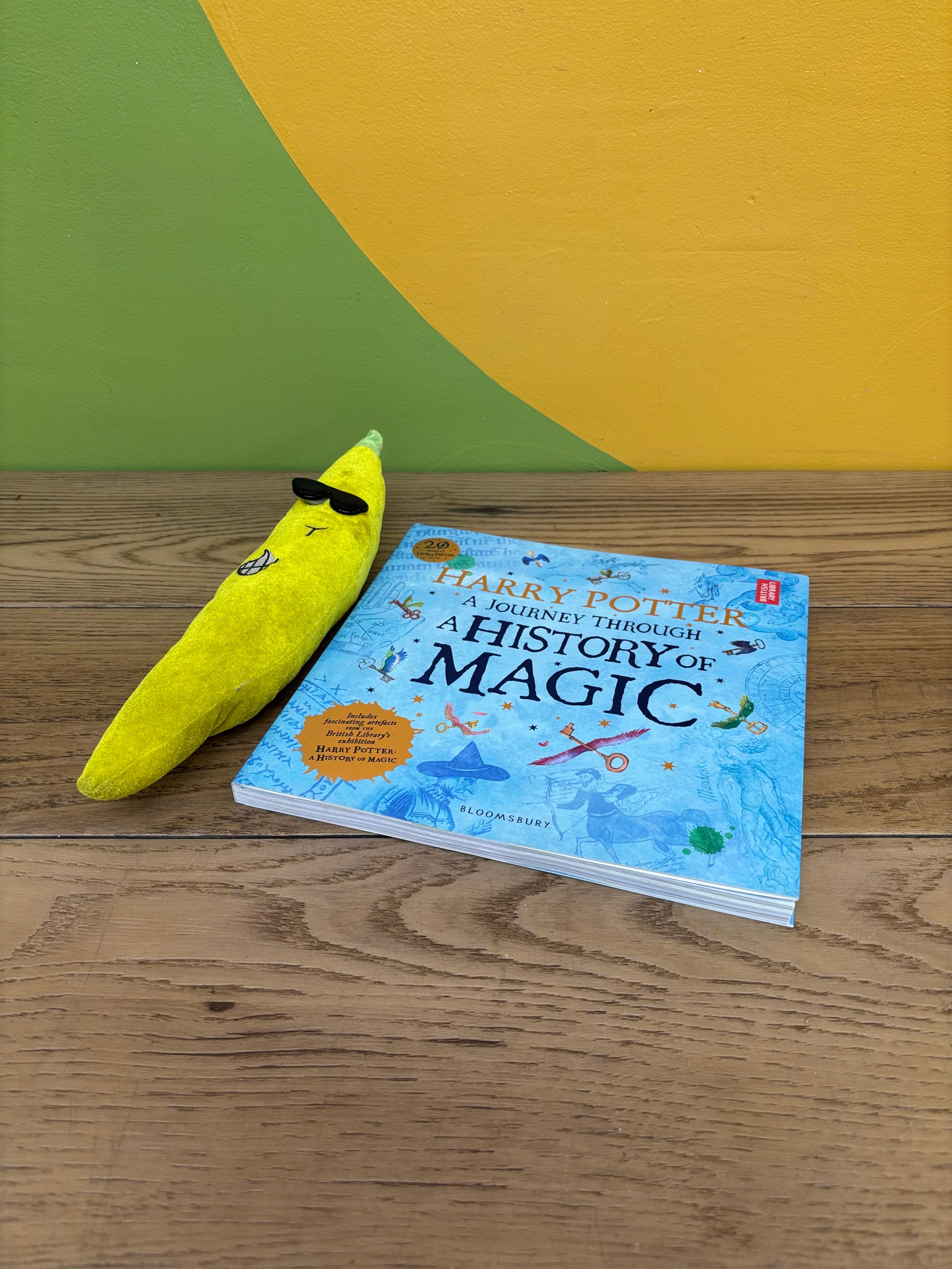 Harry Potter: A Journey Through a History of Magic