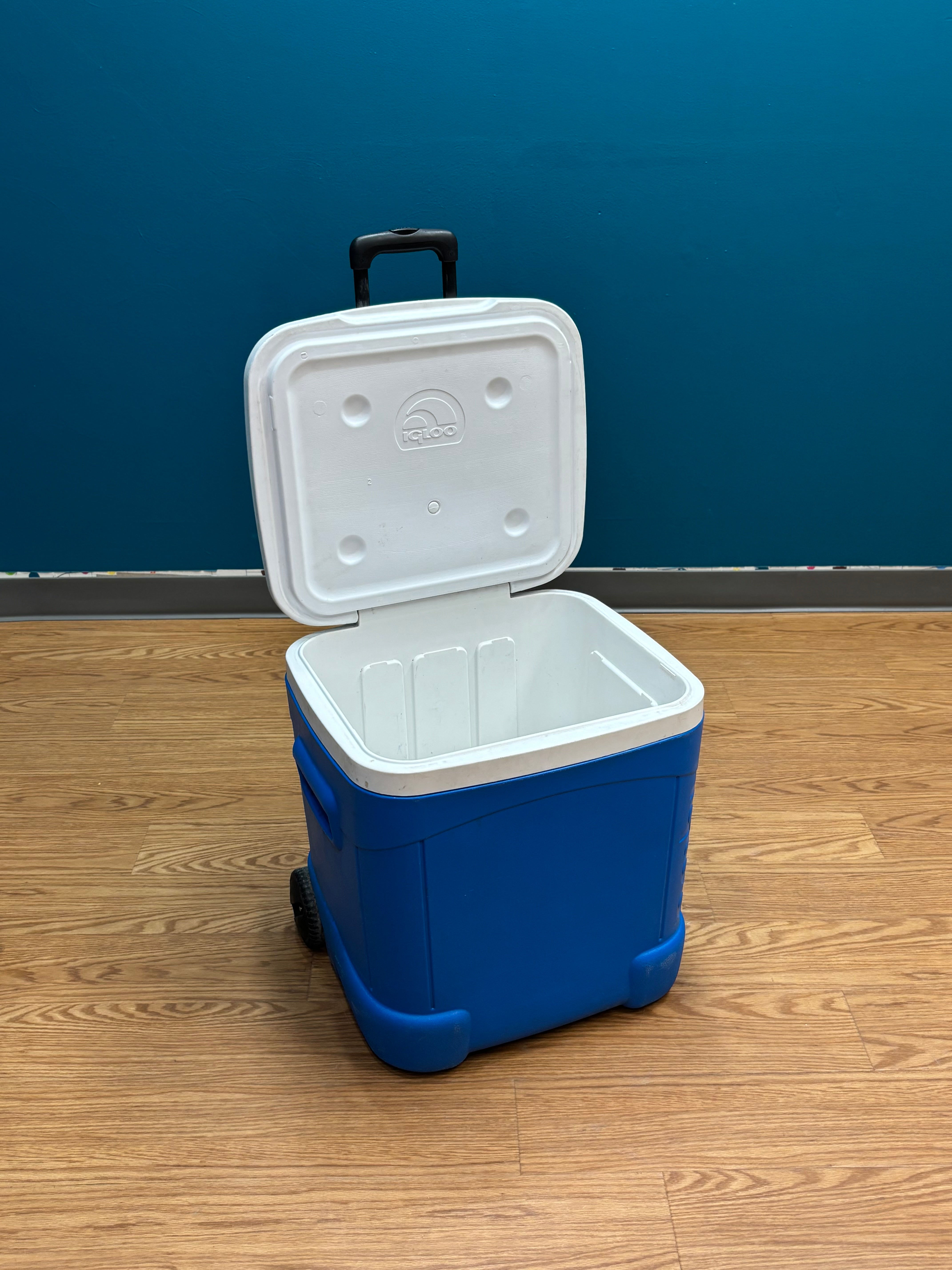 Igloo Ice Cube Roller Cooler