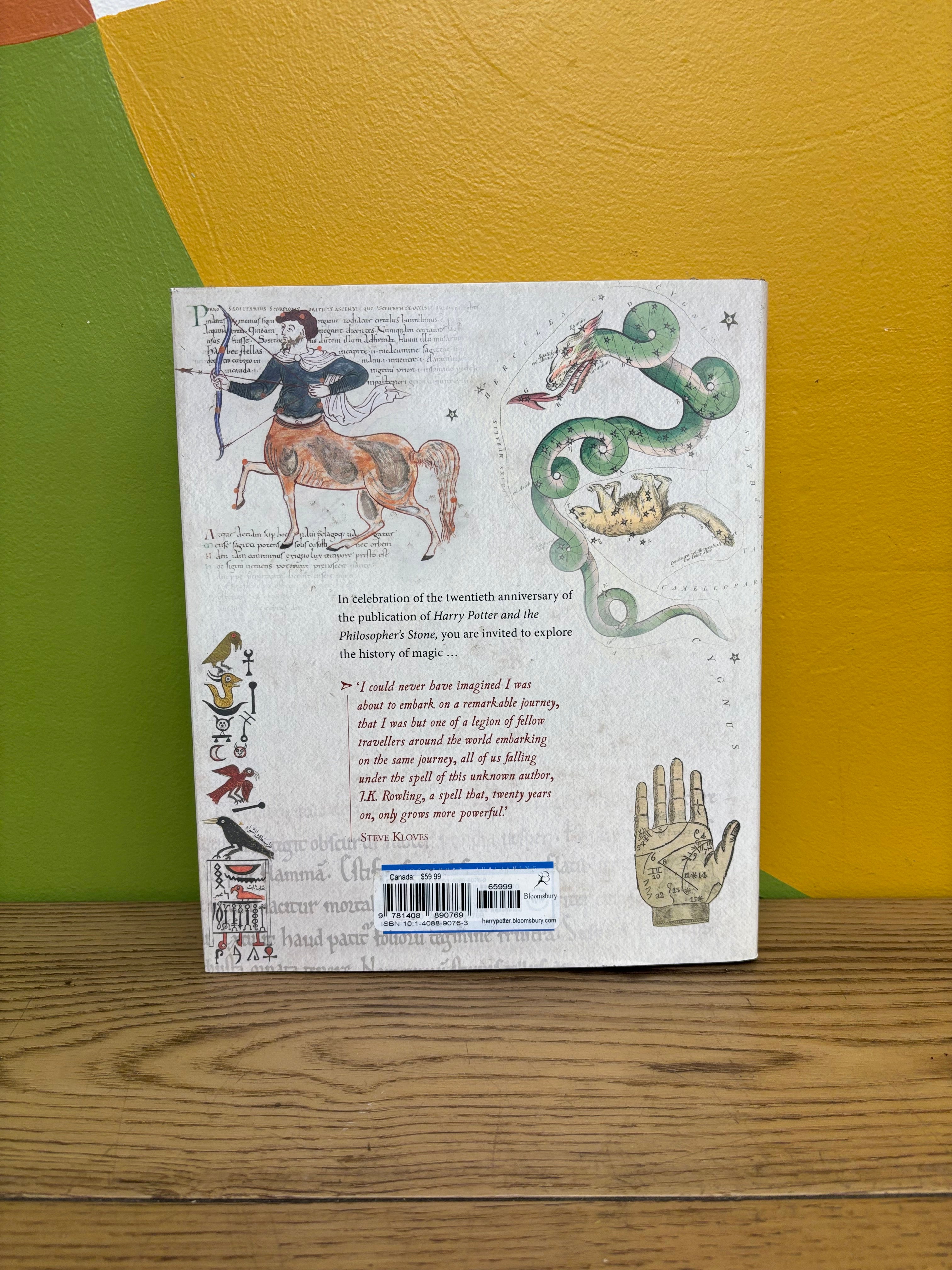Harry Potter: A History of Magic Book