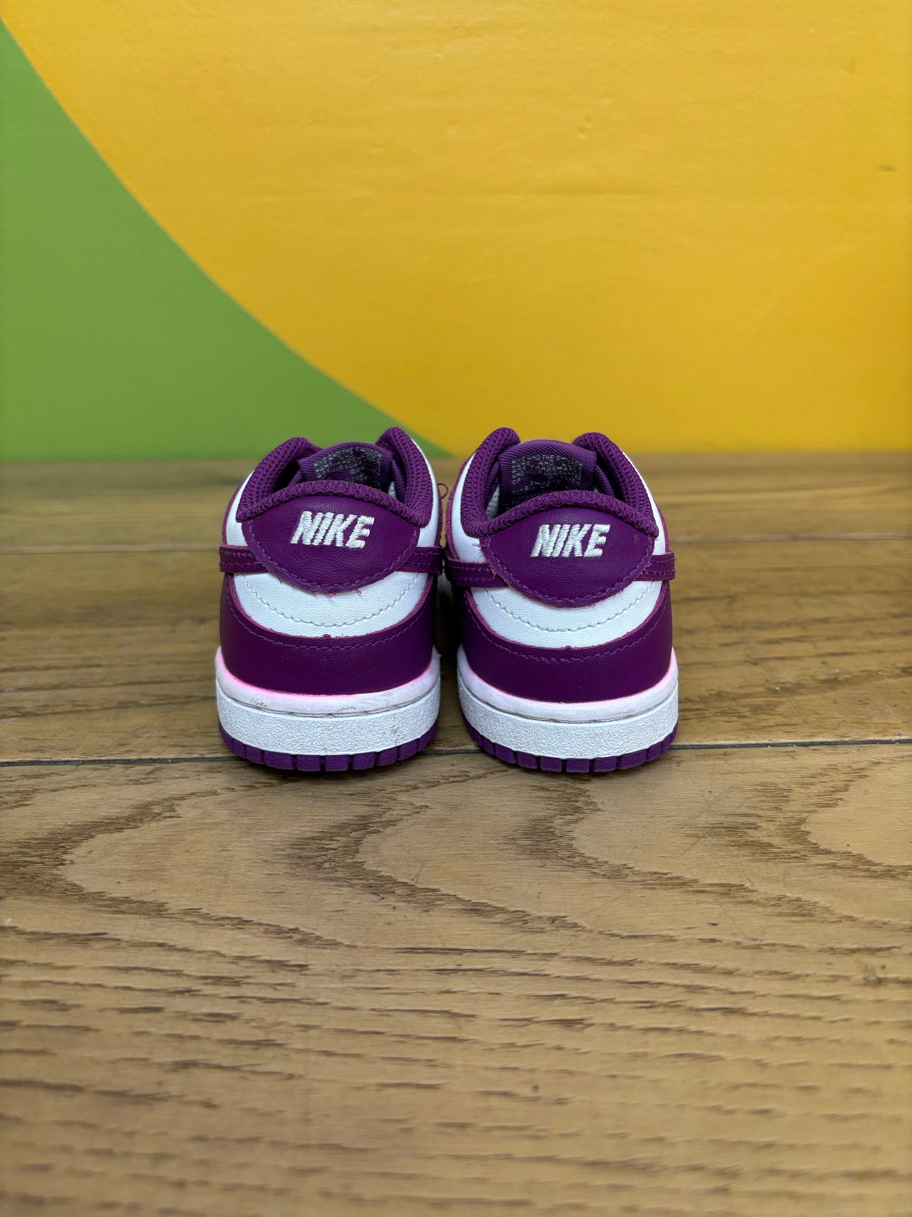 Toddler Nike Low Dunk Shoes - Size 8C