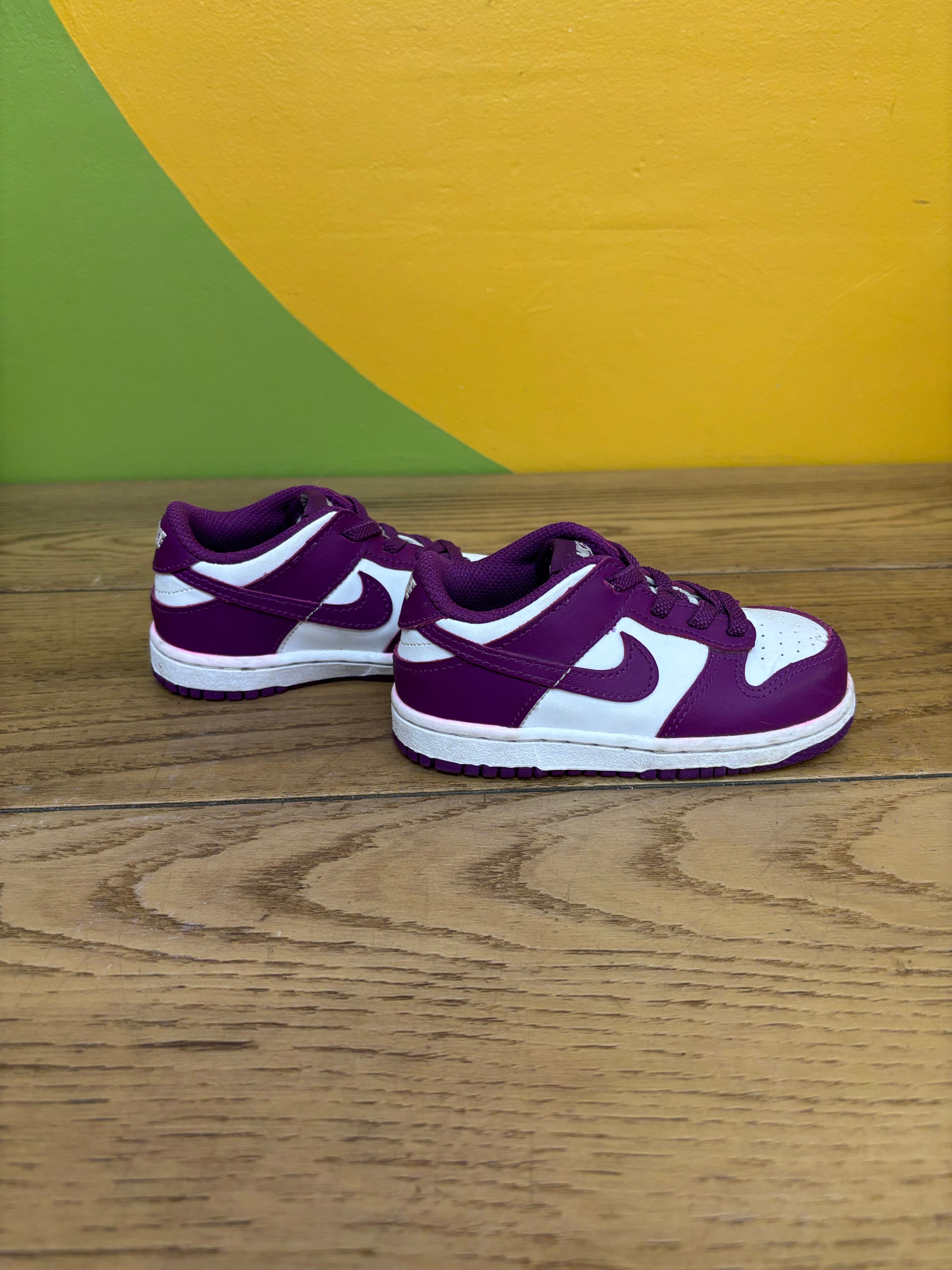 Toddler Nike Low Dunk Shoes - Size 8C