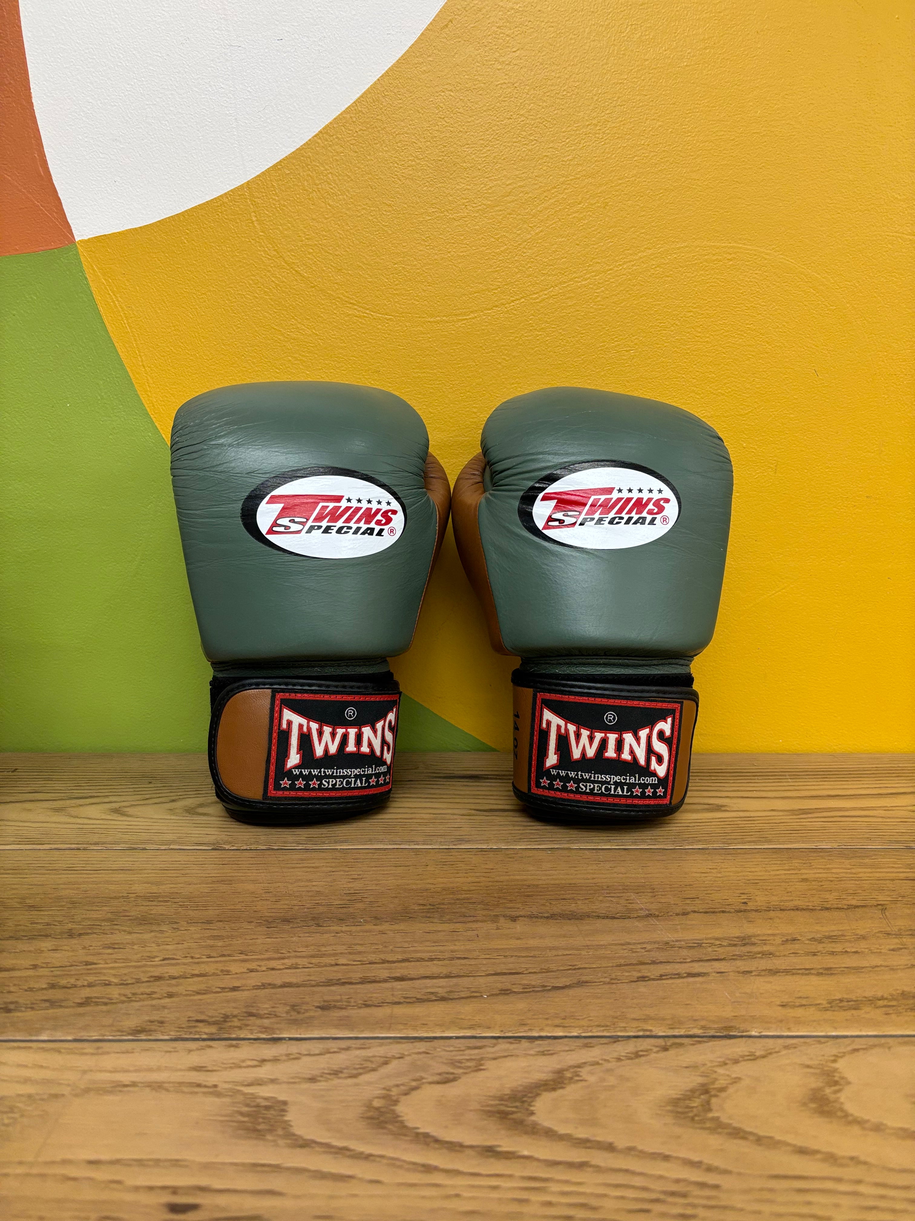 Twins Special Boxing Gloves