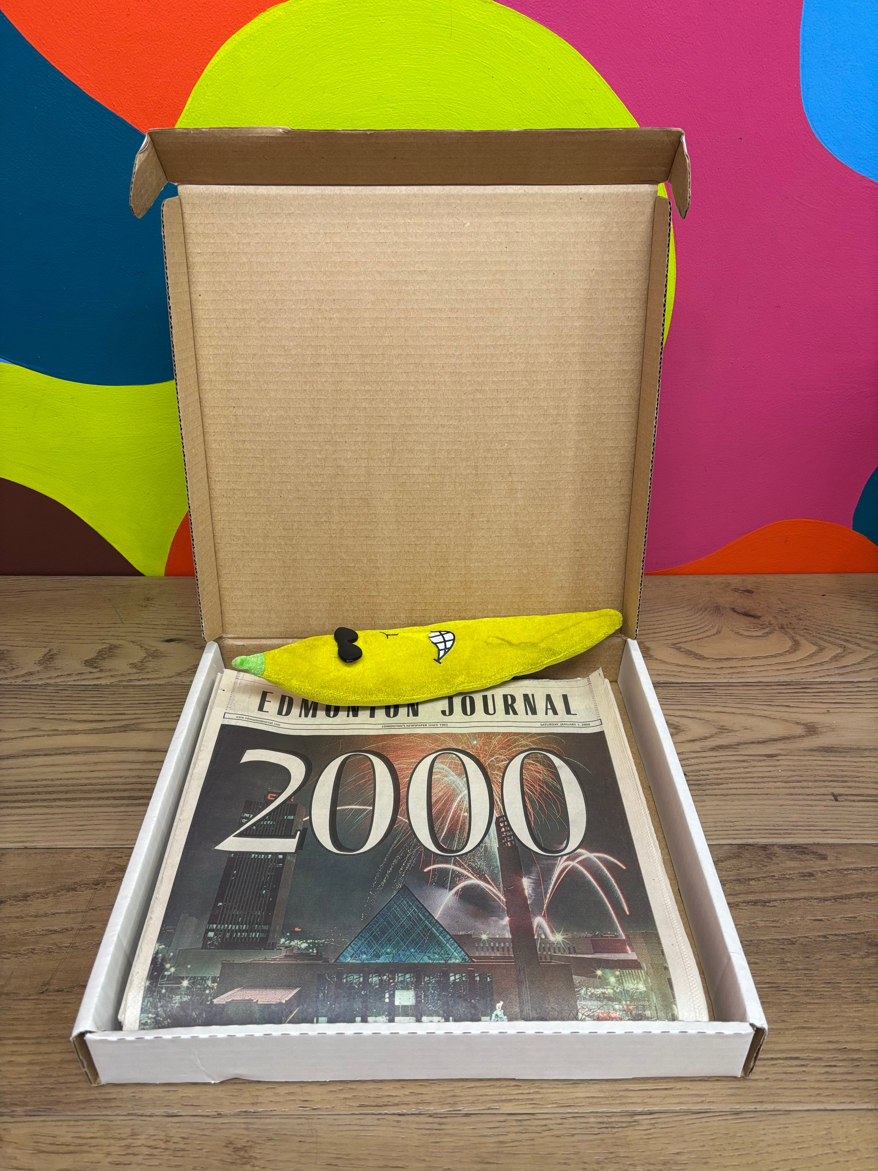 Edmonton Journal 2000 Newspaper