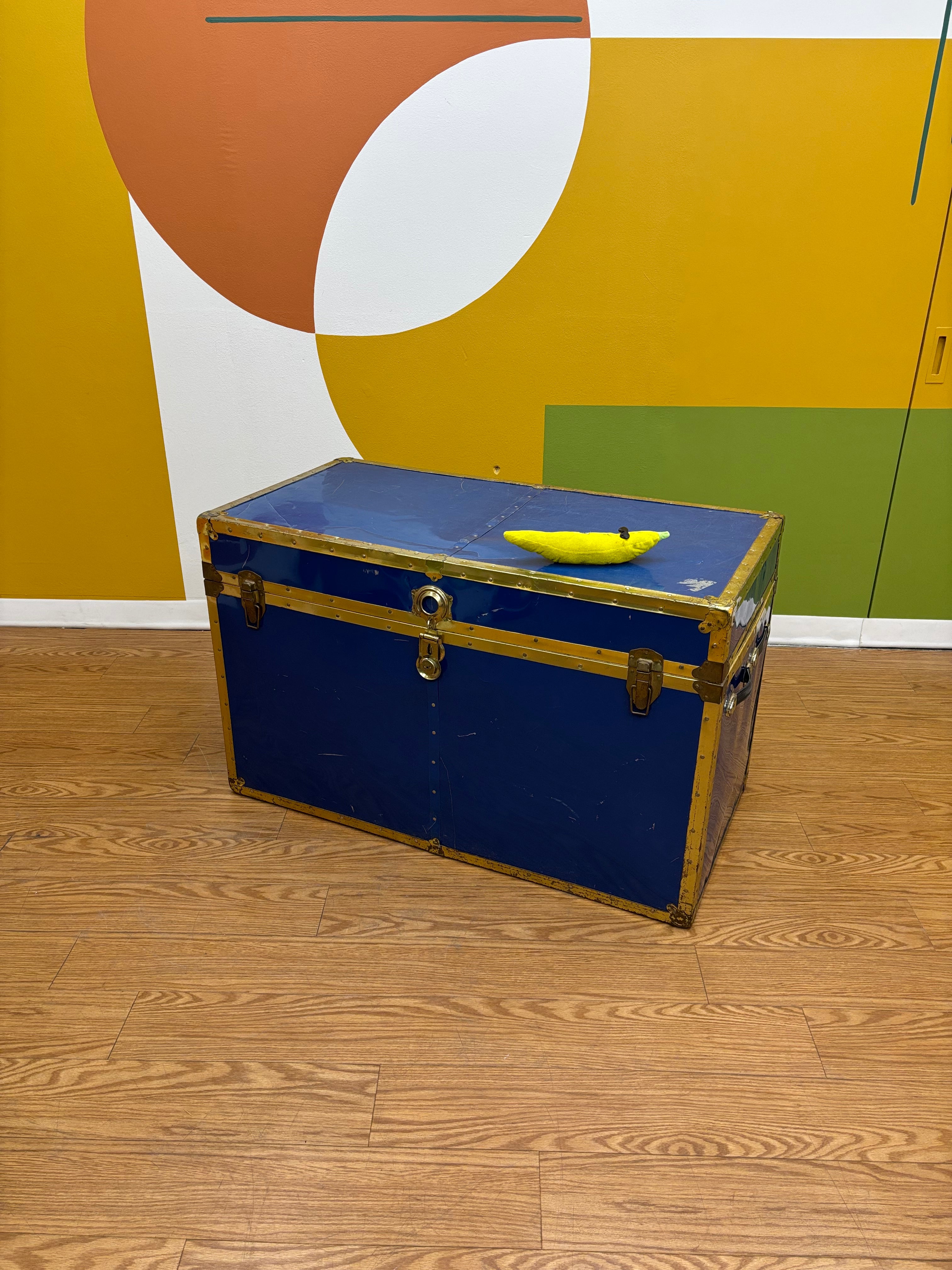 Large Blue Trunk
