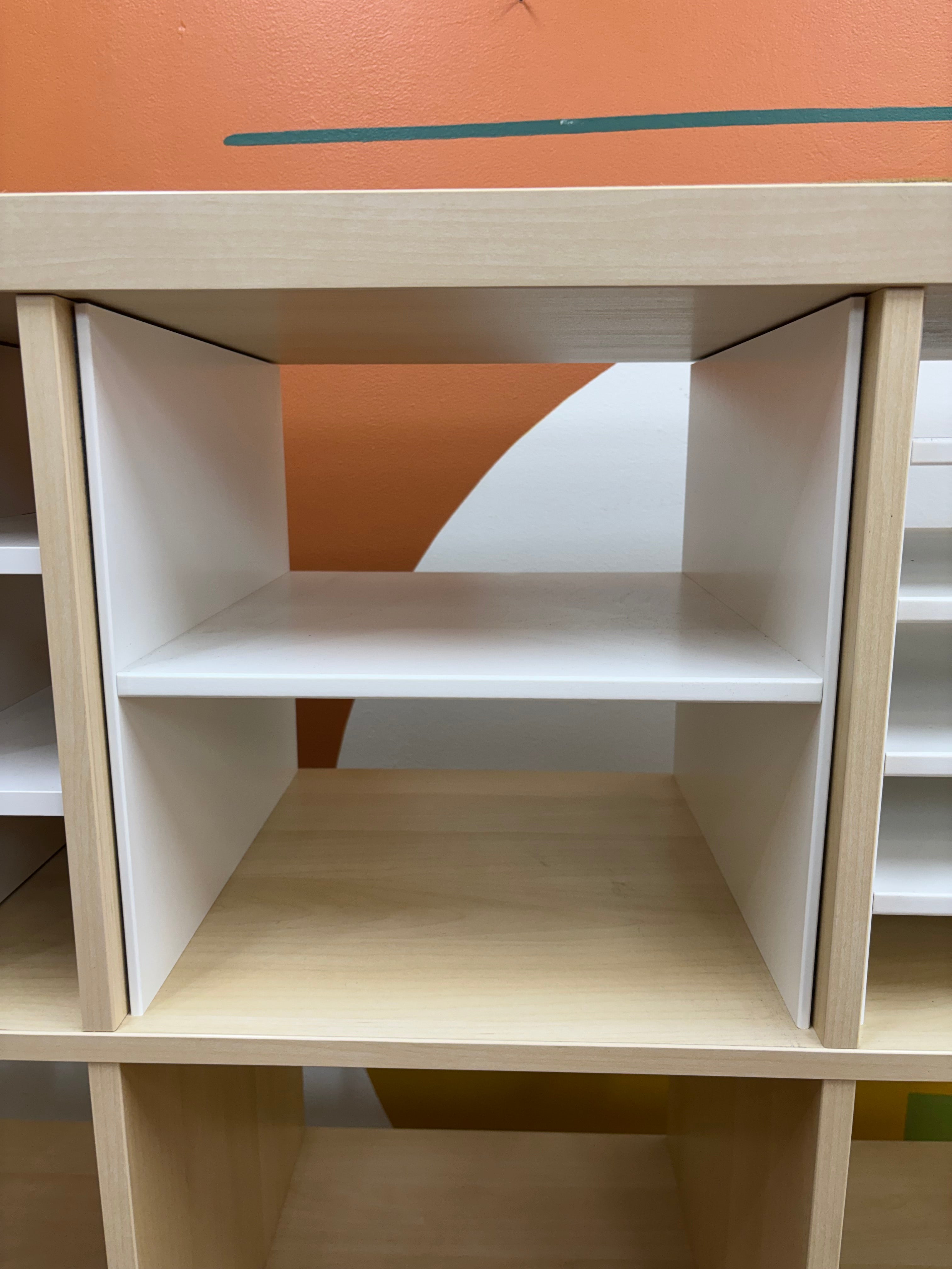 16 Cube Kallax Shelf with Inserts