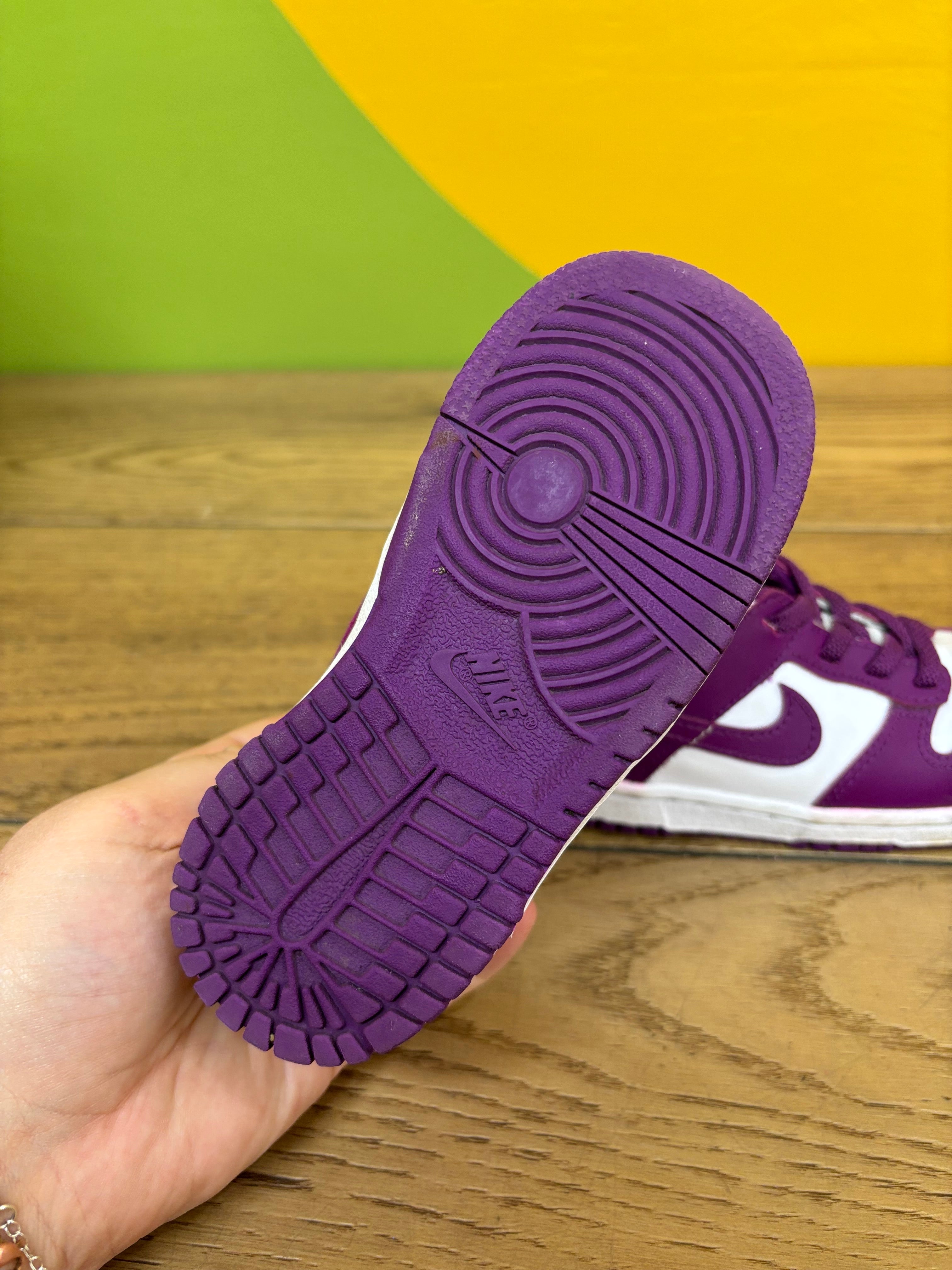 Toddler Nike Low Dunk Shoes - Size 8C