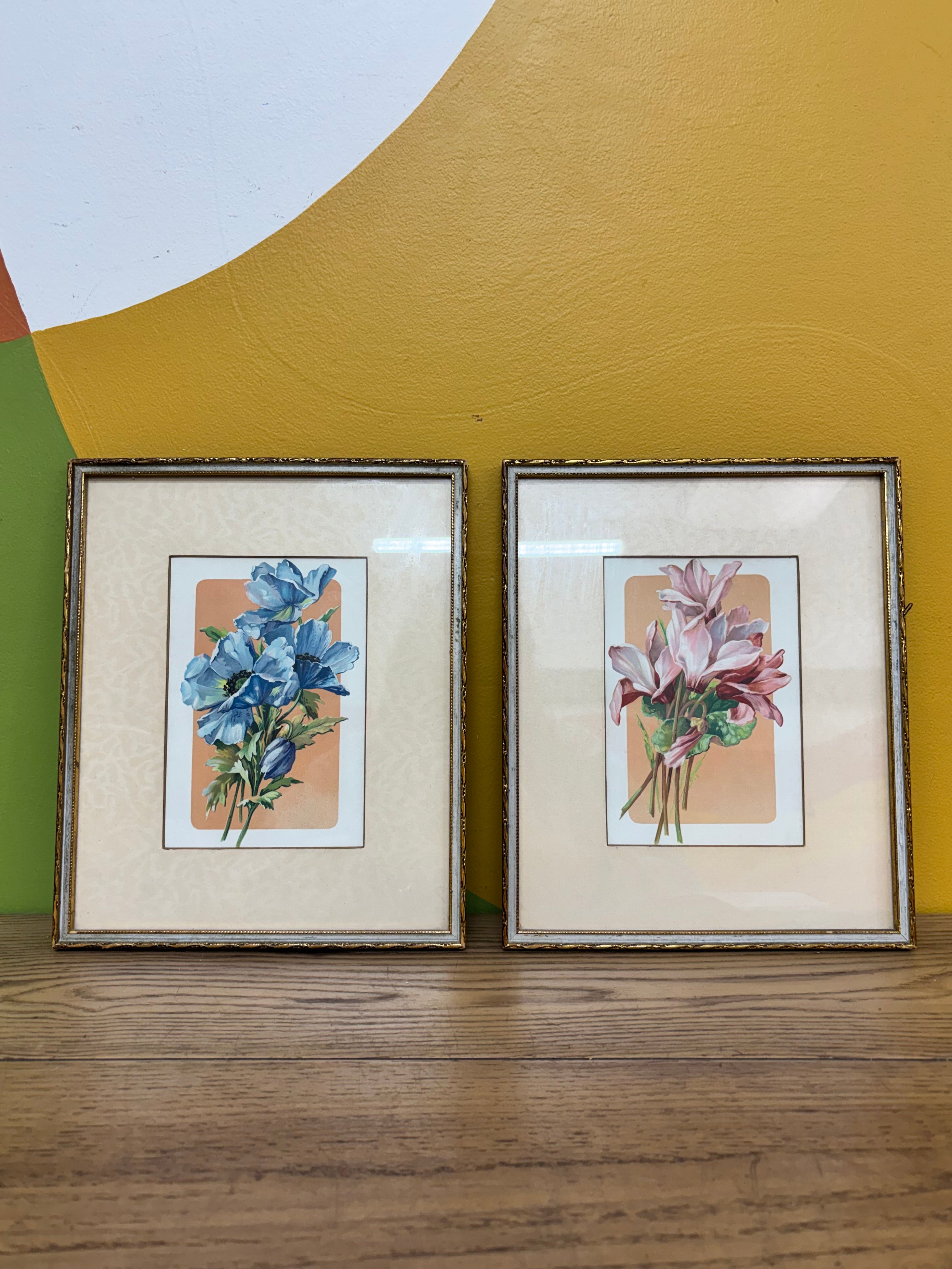 Framed Floral Prints (2)