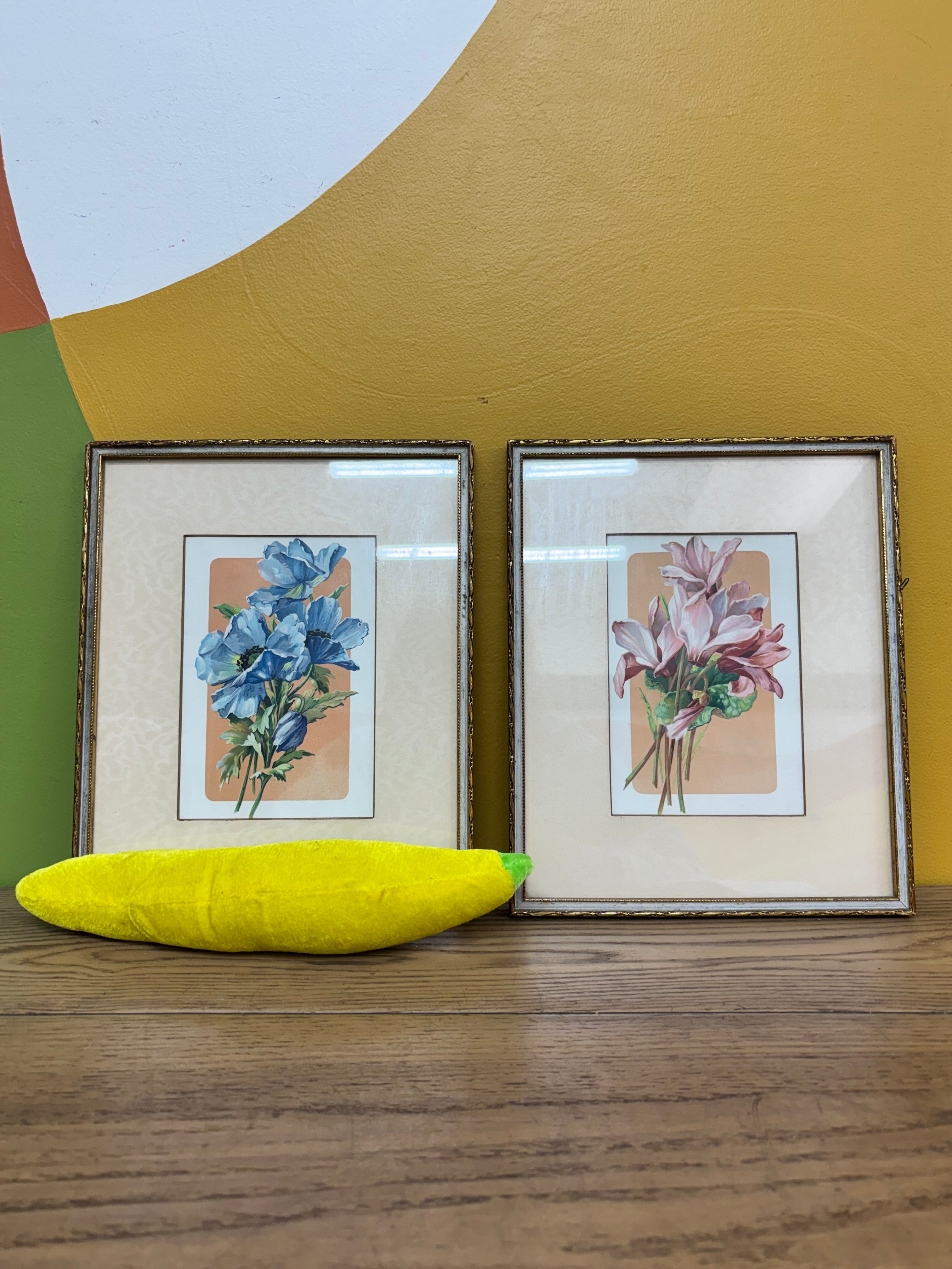 Framed Floral Prints (2)