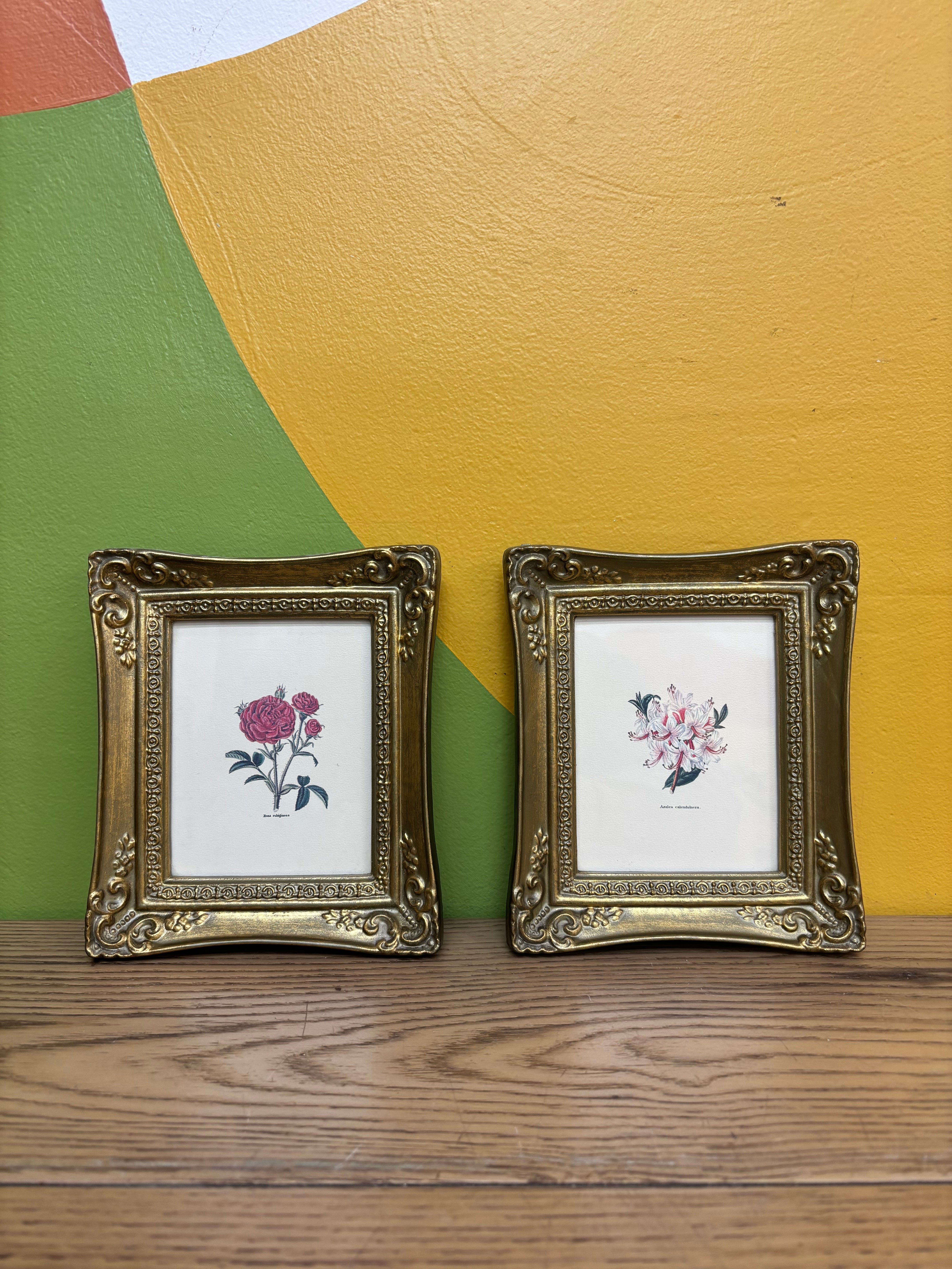 Gold Framed Floral Photos (2)