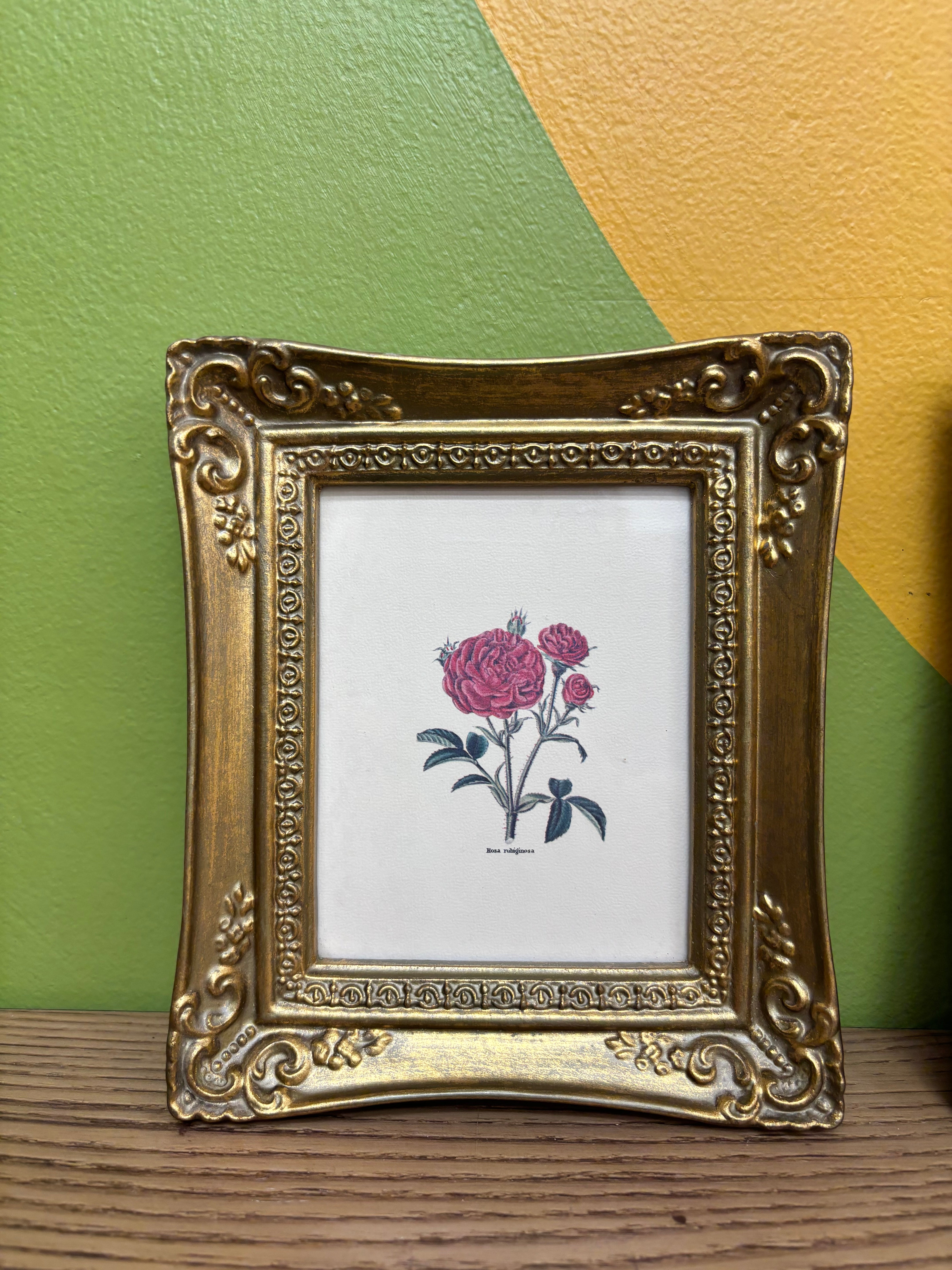 Gold Framed Floral Photos (2)