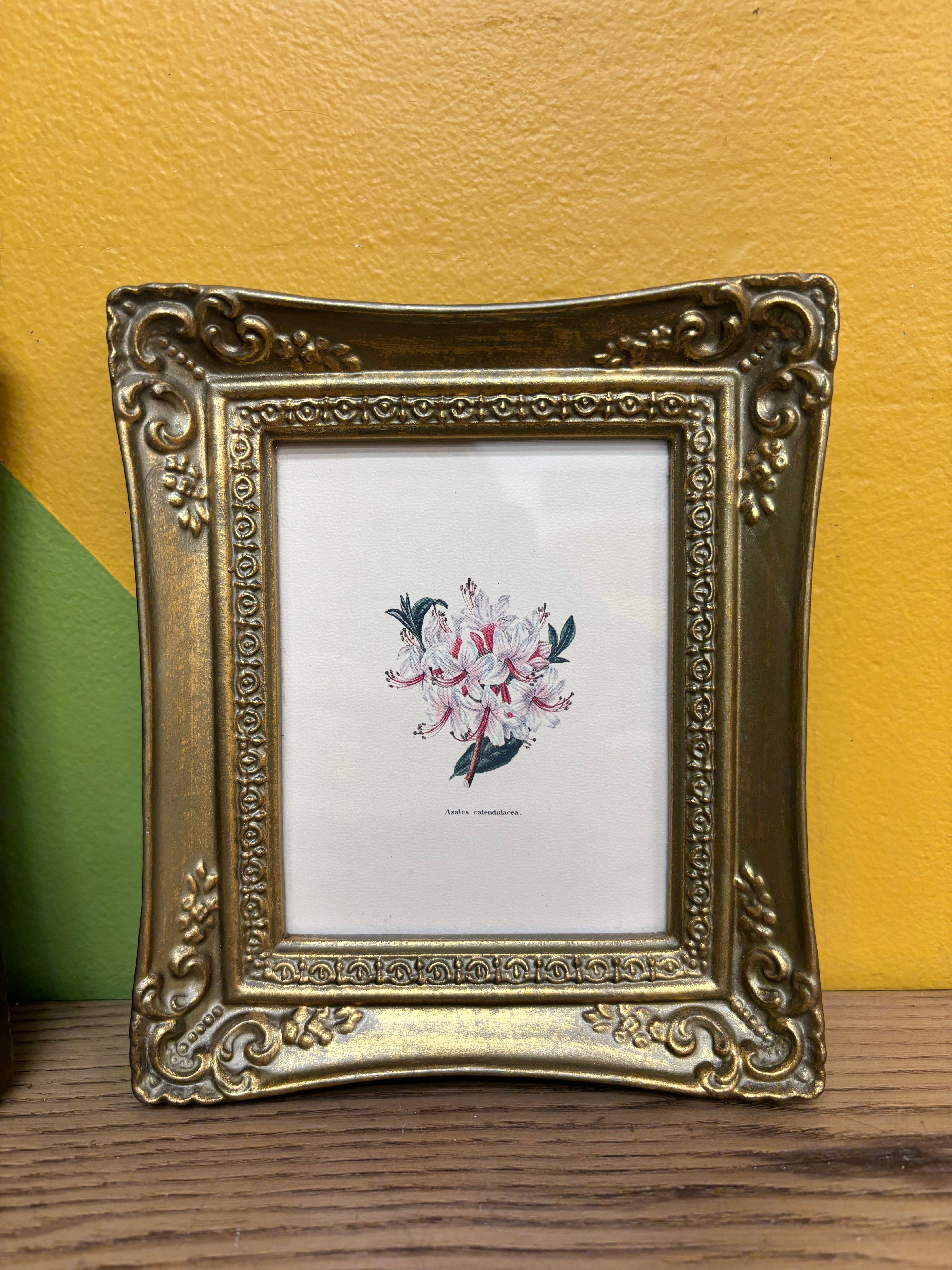 Gold Framed Floral Photos (2)