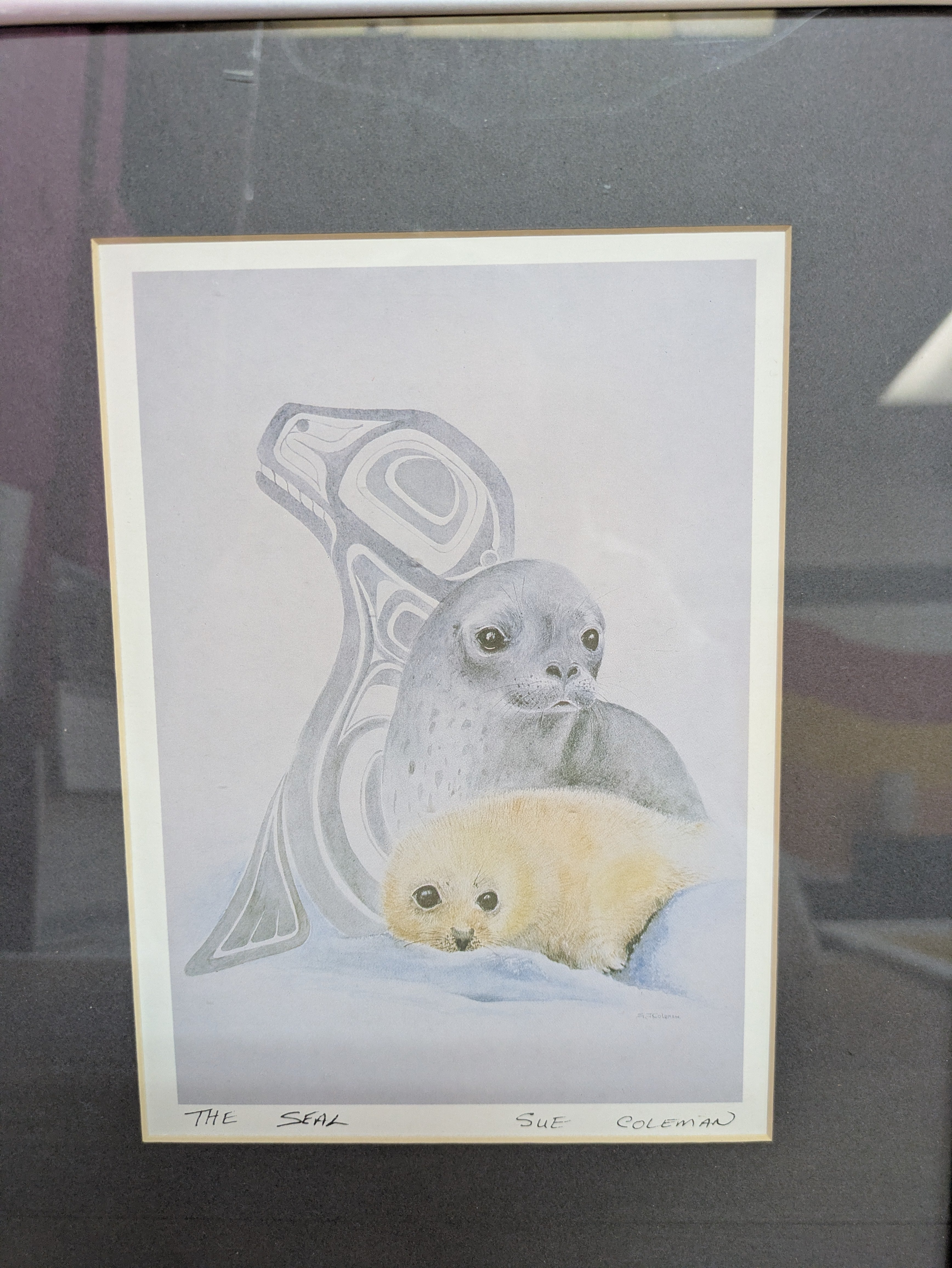 The Seal By Sue Coleman