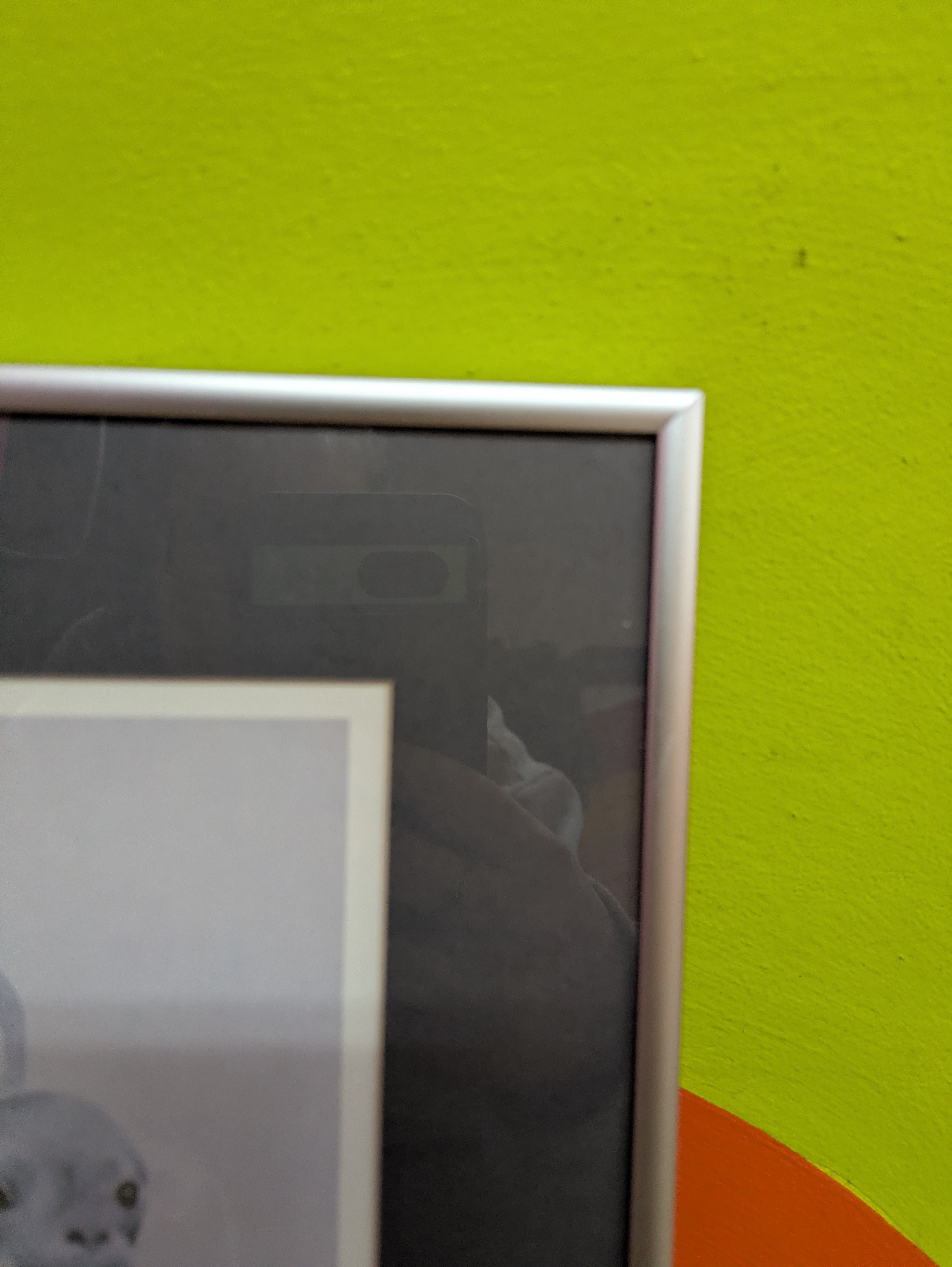 The Seal By Sue Coleman