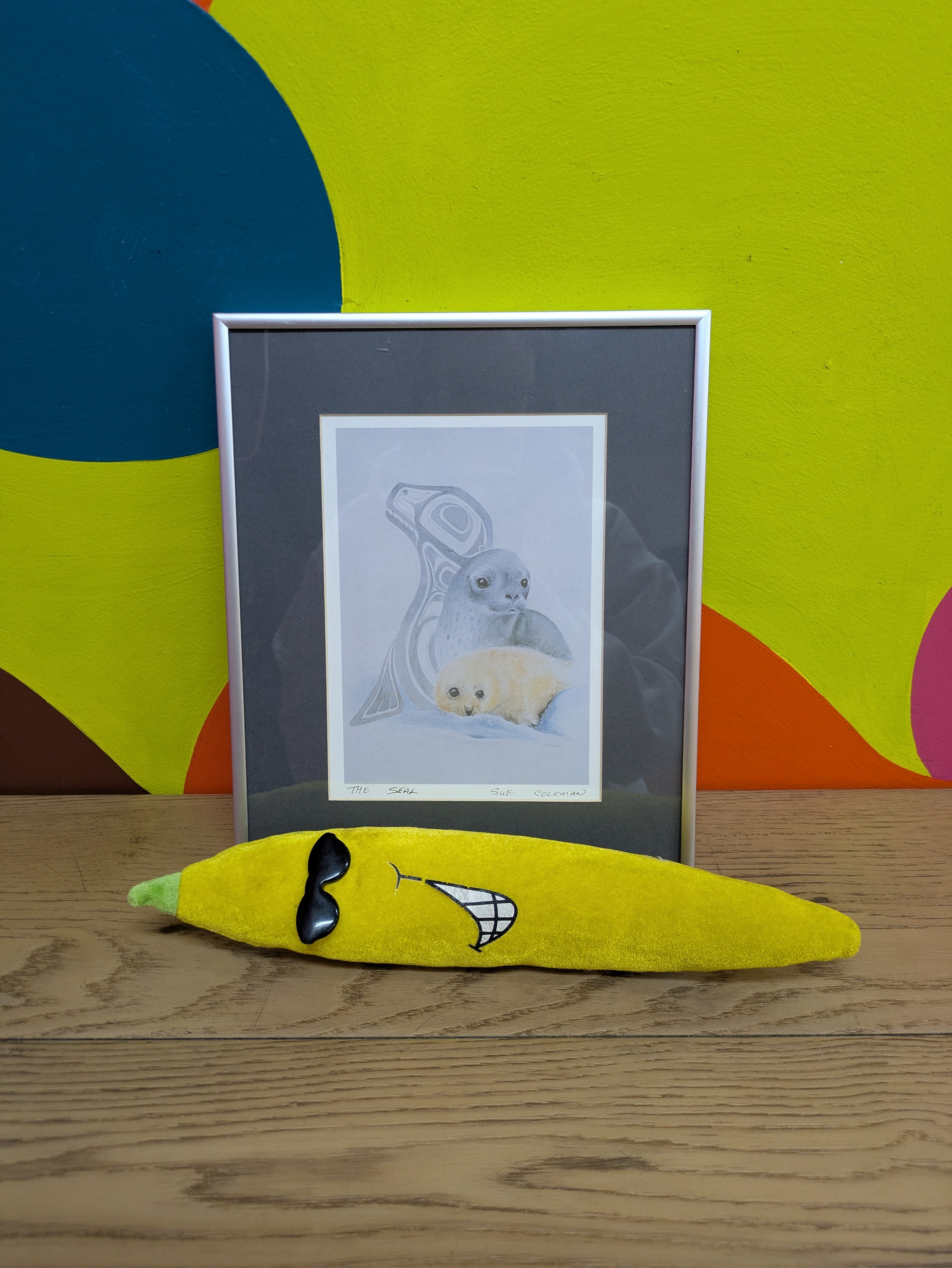 The Seal By Sue Coleman