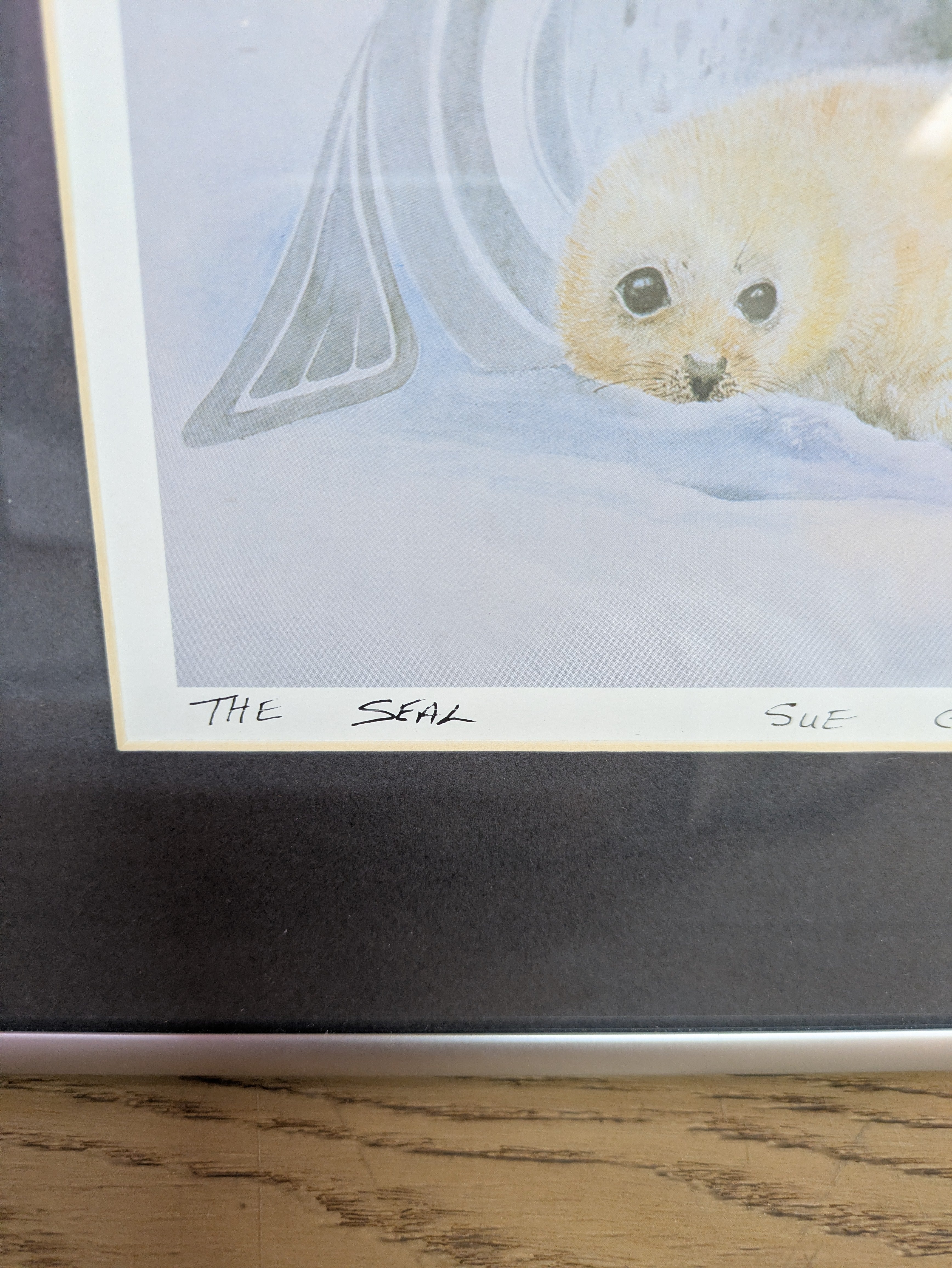 The Seal By Sue Coleman