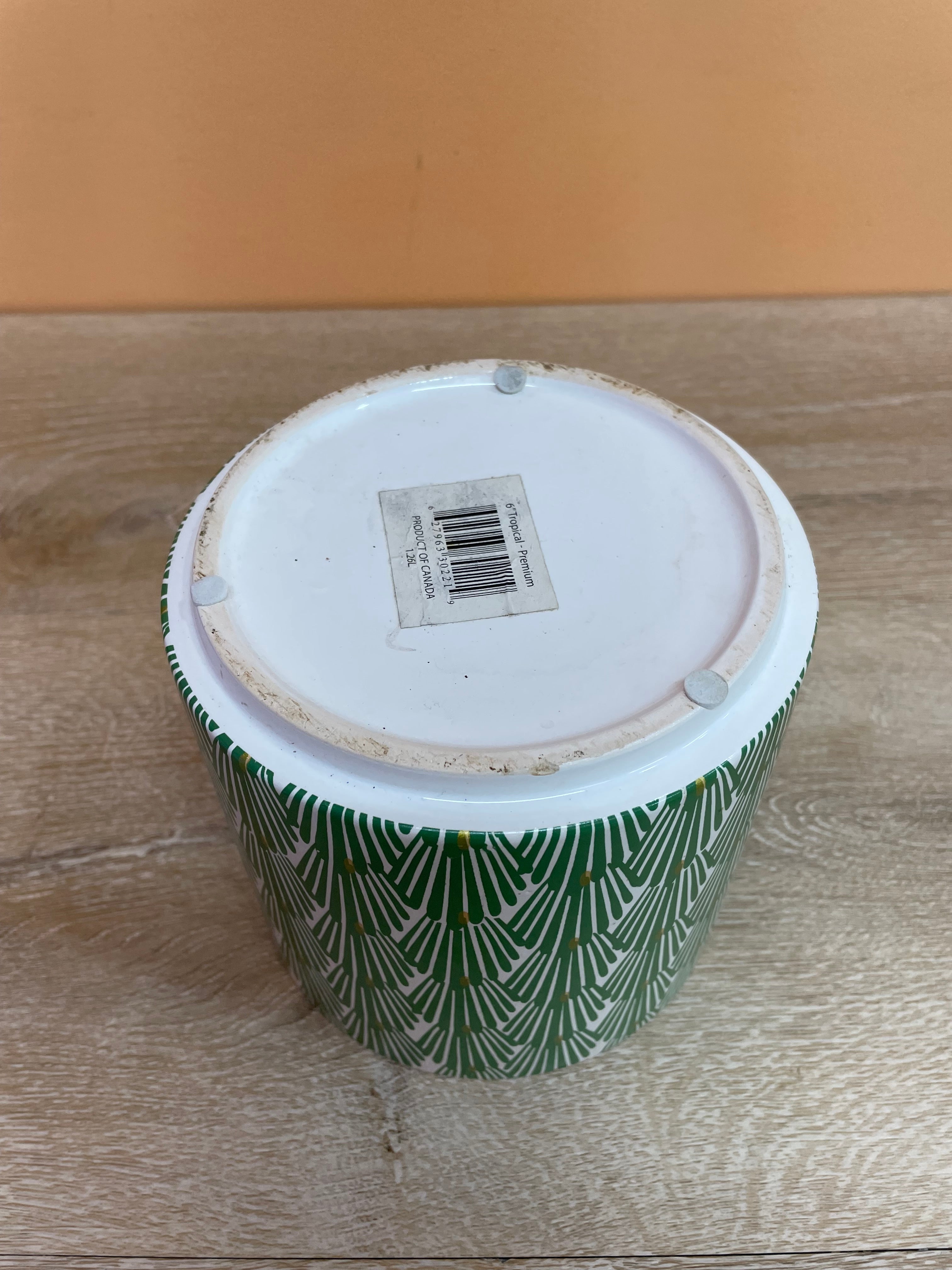 Green & White Plant Pot (2 Available)